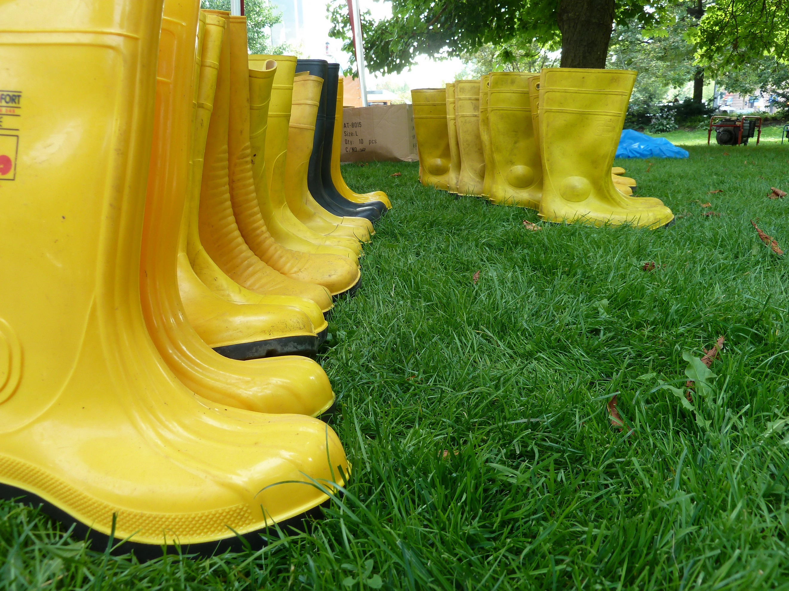 Aufgereihte gelbe Gummistiefel auf Rasenfläche.