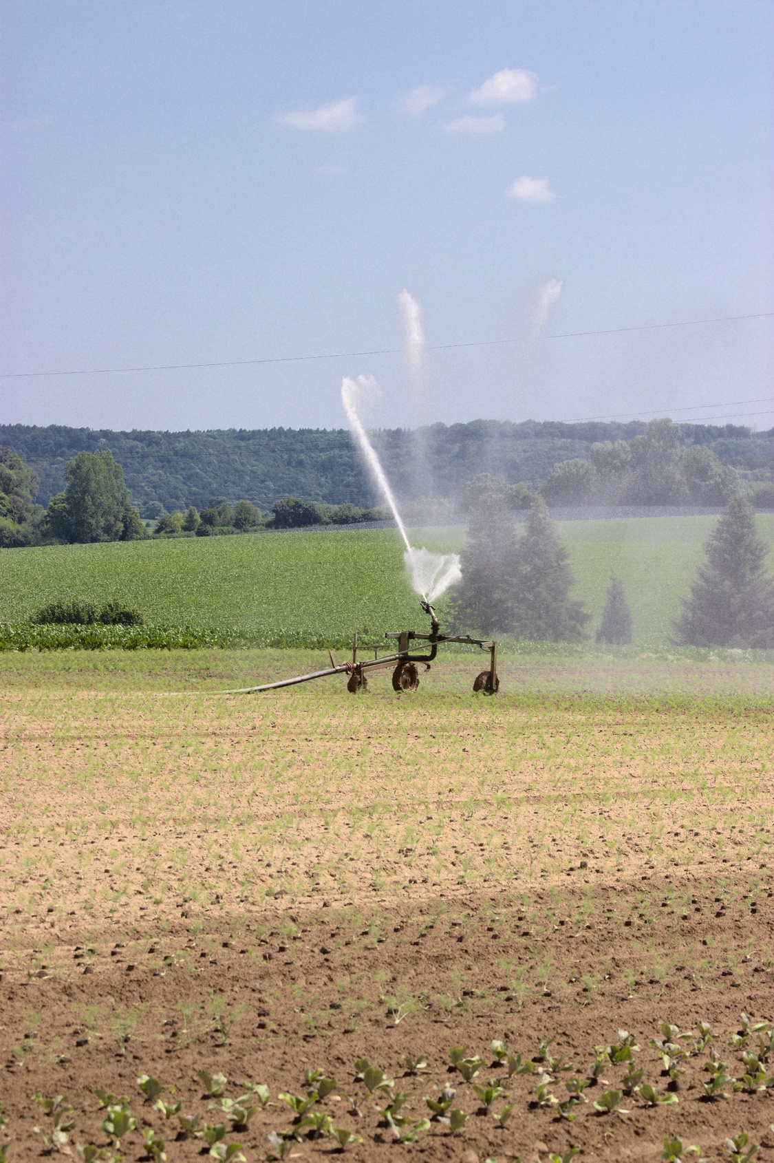 Beregnungsgerät auf landwirtschaftlicher Fläche.
