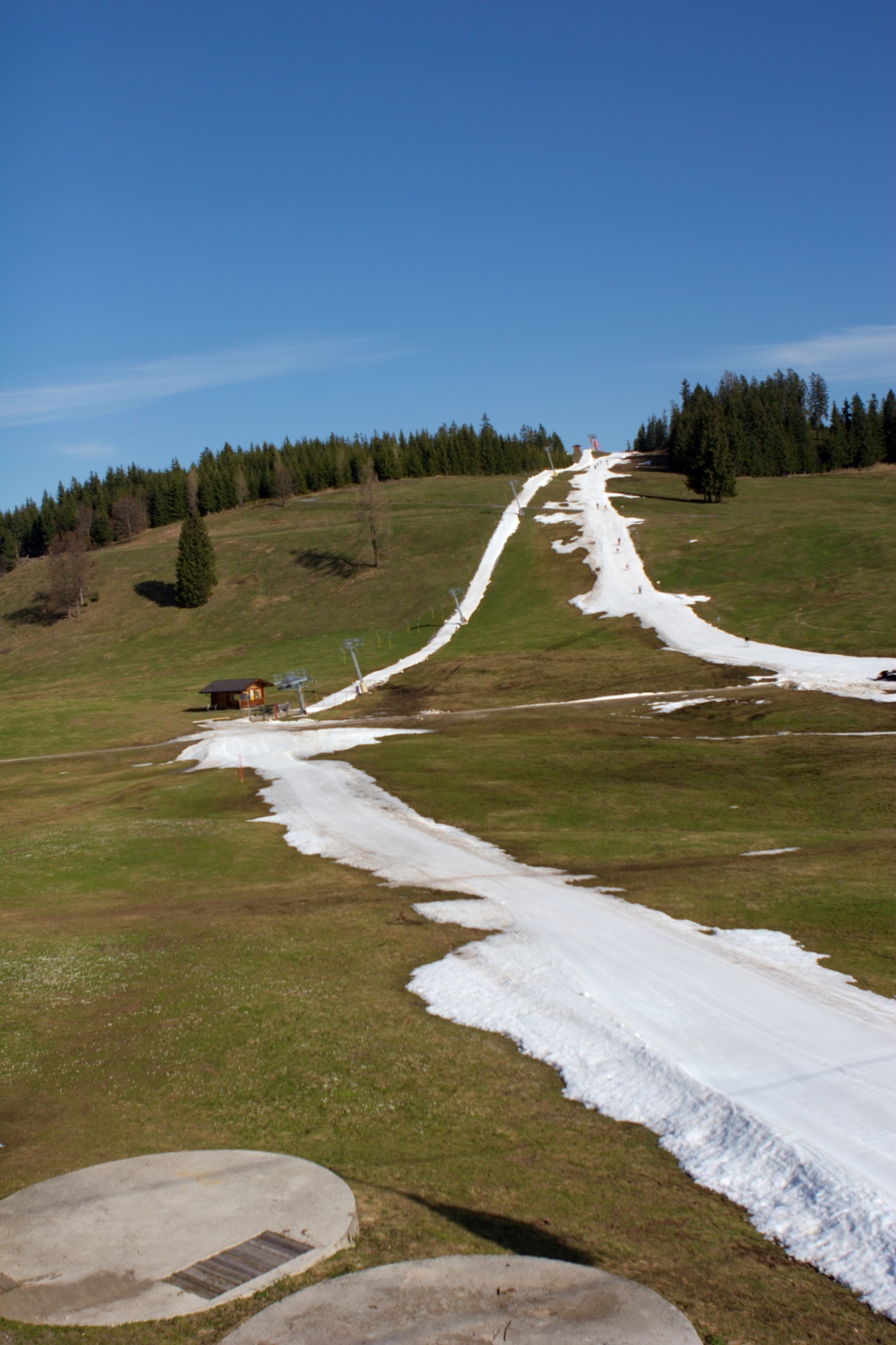 Künstlich beschneite Skipisten in grüner Landschaft.