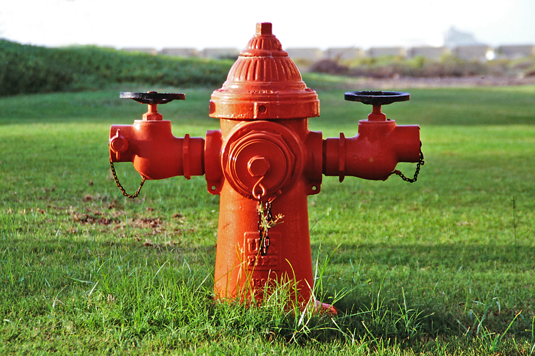 Roter Hydrant in grüner Landschaft.