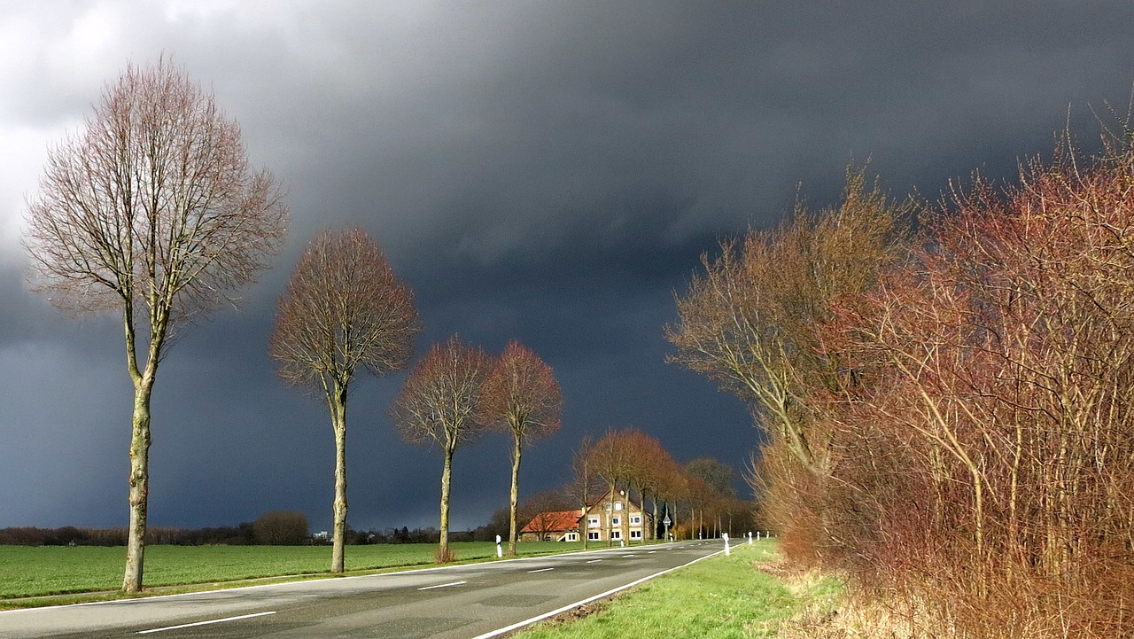 Dunkle Wolken über einer herbstlichen Allee in ländlichem Gebiet
