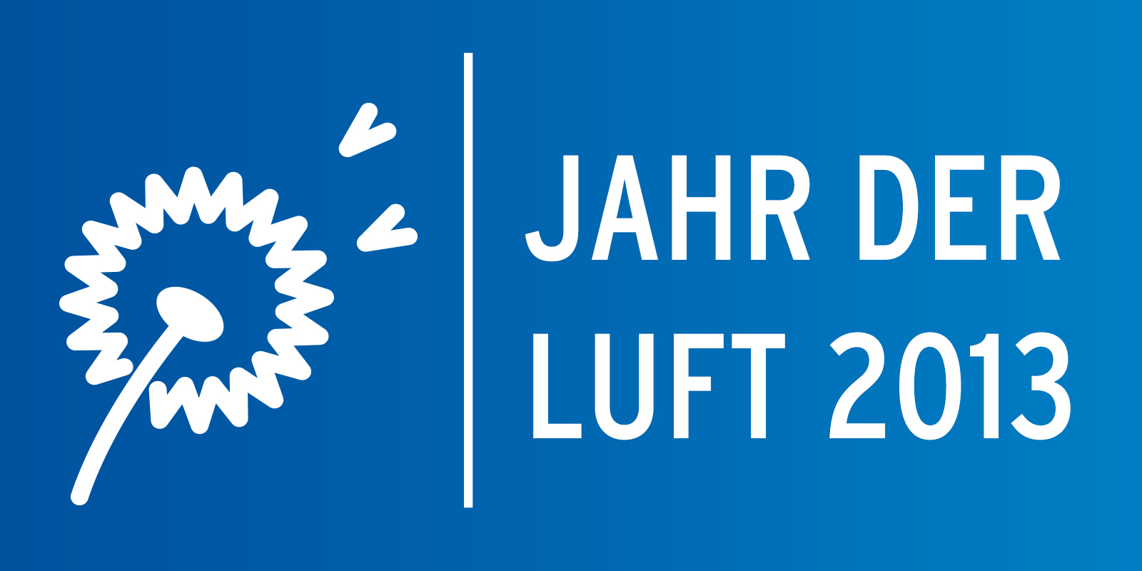 Jahr der Luft 2013