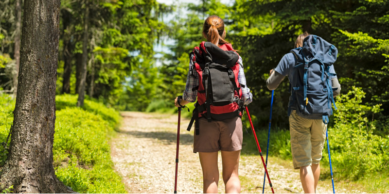 eine Frau und ein Mann beim Wandern mit Wanderrucksäcken und Wanderstöcken auf einem Waldweg