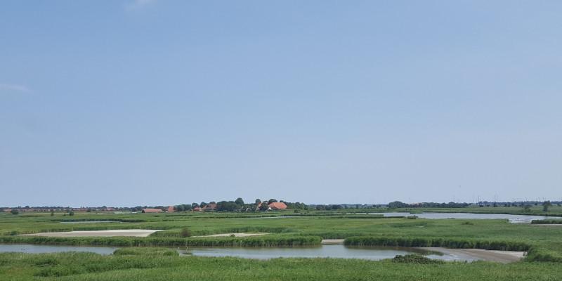 Ansicht Wasserlandschaft (Krummhörn, 2018)