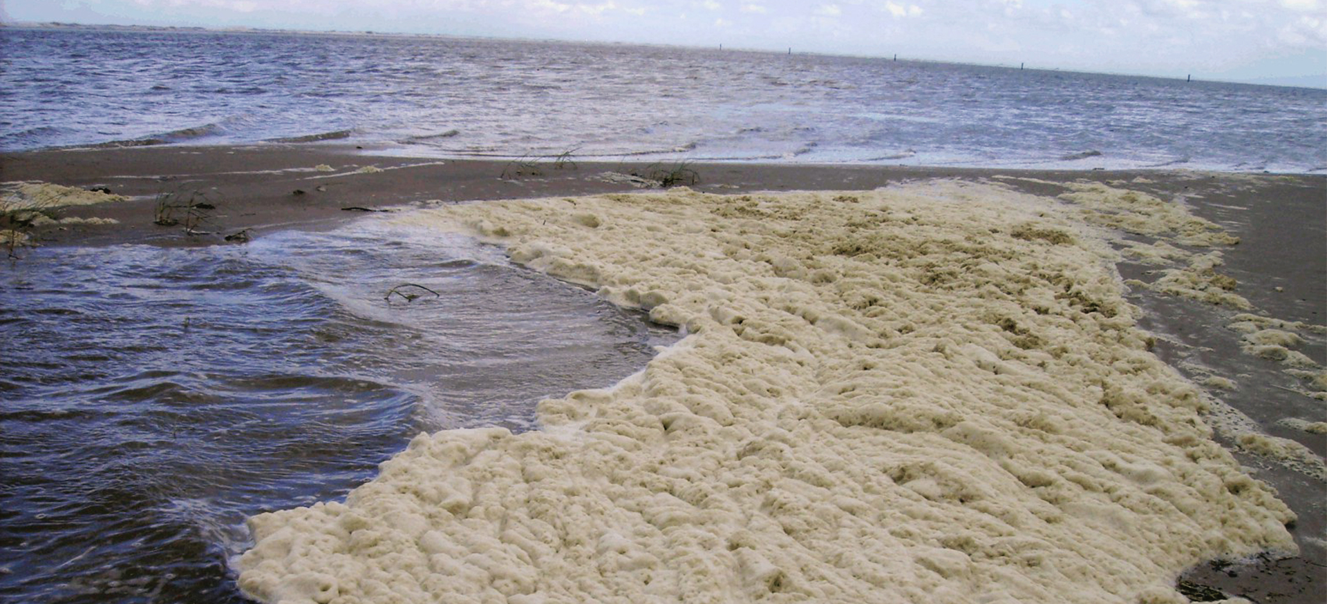 Die Abbildung zeigt den von der Schaumalge Phaeocystis globosa gebildeten Schaum am Strand der Nordseeinsel Spiekeroog.