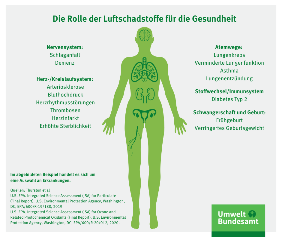 Befundung & Messung » raumluft.org » Mensch - Umwelt - Gesundheit