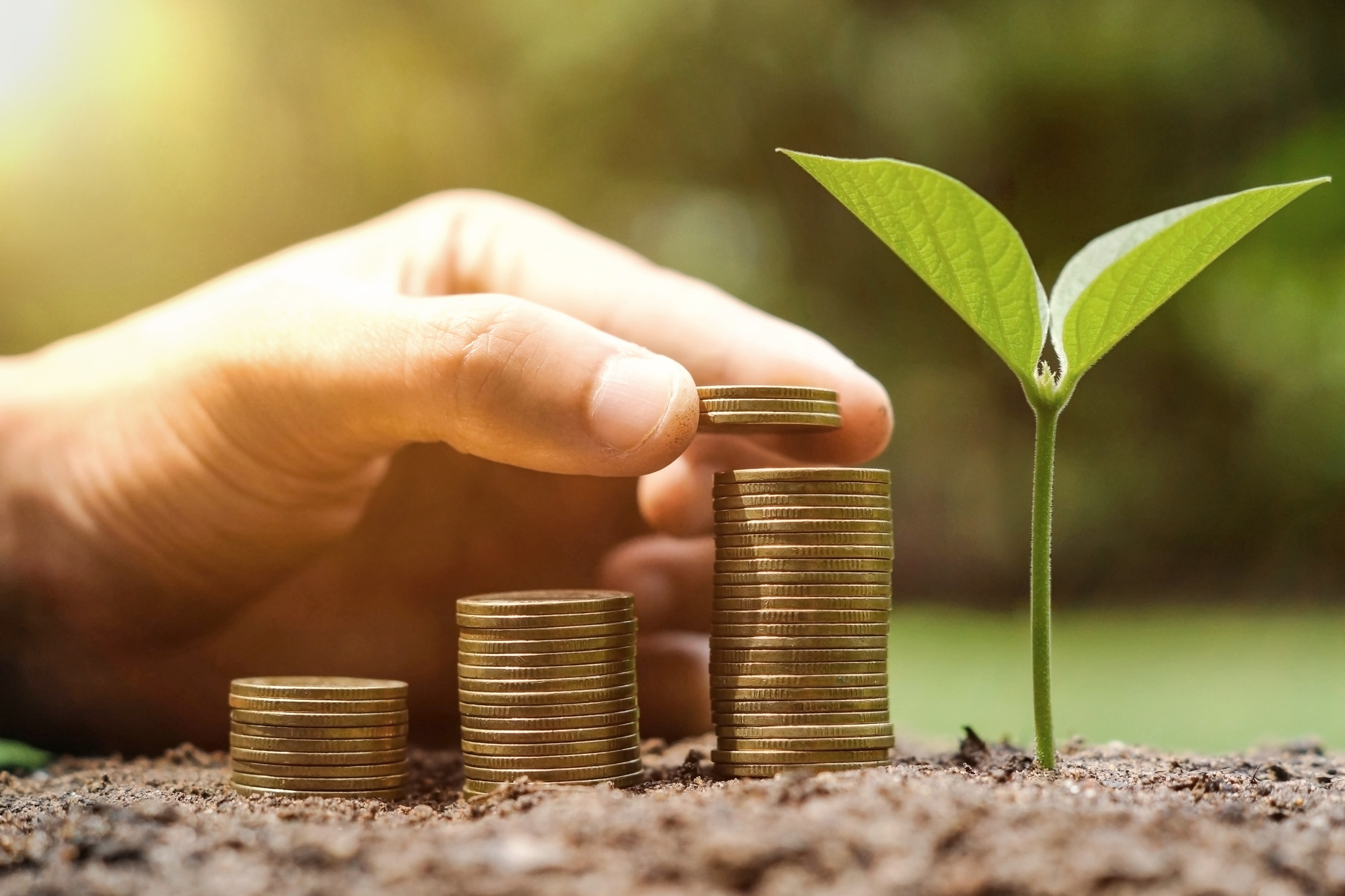 Geldmünzen und eine Pflanze symbolisieren den Zusammenhang zwischen Energierpreisen und Klimaschutz, den eine neue UBA-Studie untersucht.
