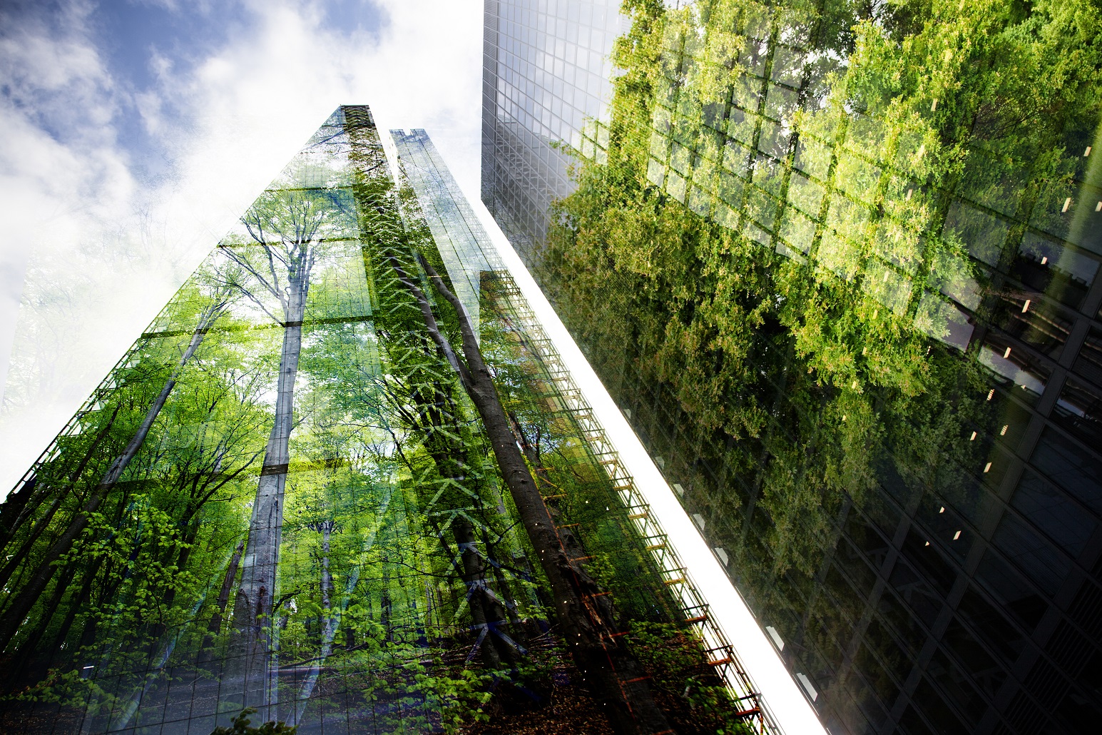 skyscrapers with glass facades, in which trees reflect