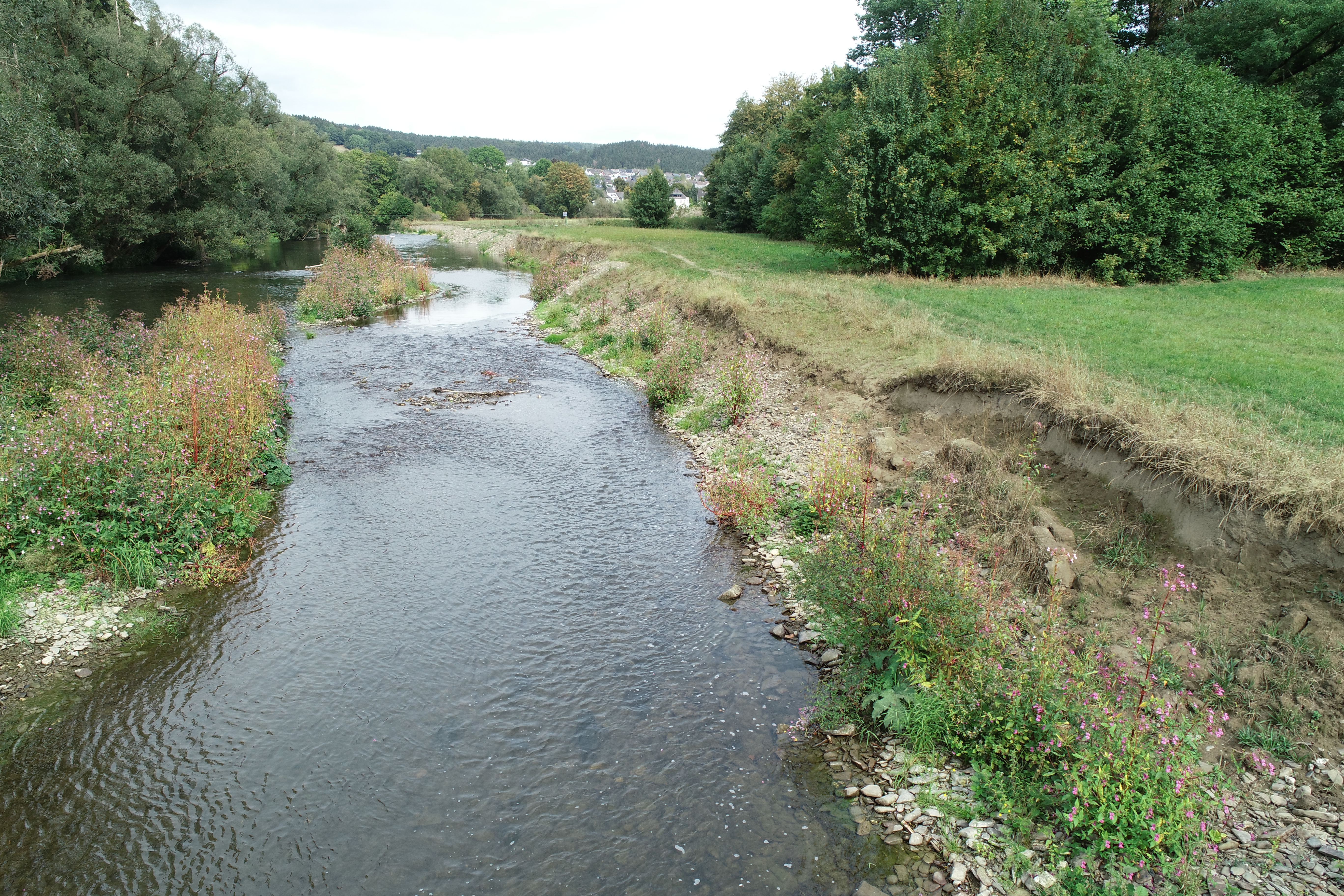 Foto: Ein naturnahes Ufer mit Ufererosion an der renaturierten Ruhr bei Oeventrop