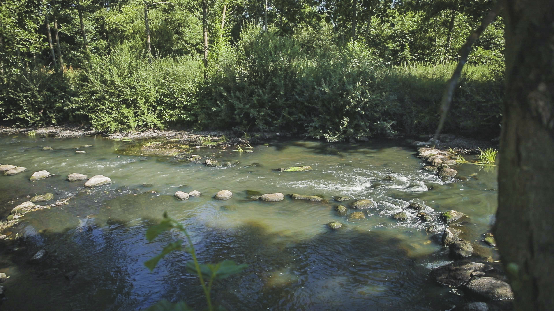 Foto: Niedrigwasserrinne in der Mitte der Wümme, die als Fischwanderhilfe dient. Als Sicherung der Niedrigwasserrinne wurden große Steine linienhaft in das Gewässer eingebracht.