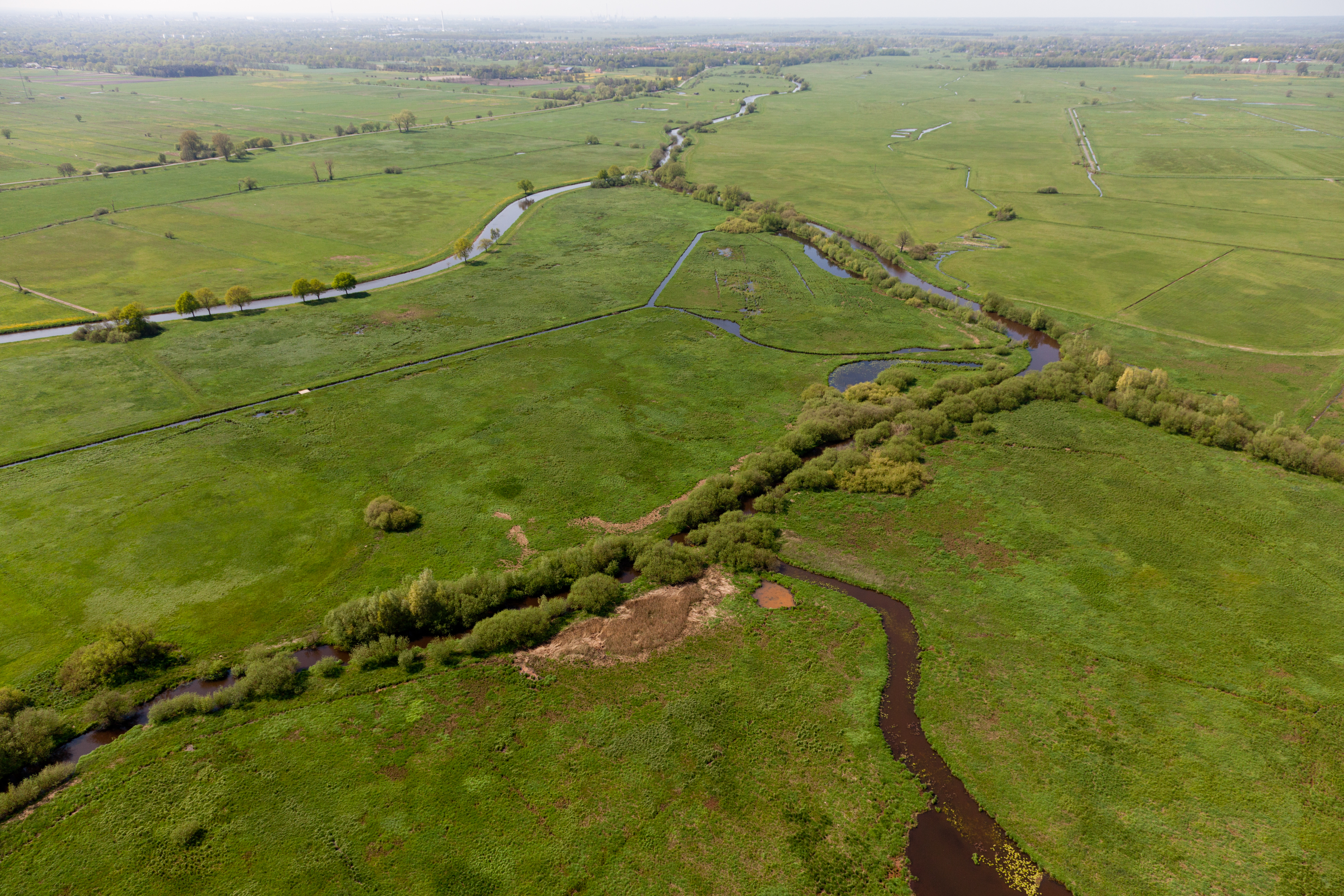 Luftbild des nassen Dreiecks an der Wümme mit Sträuchern und Bäumen im Uferbereich und umgebenden wiedervernässten Feuchtwiesen.