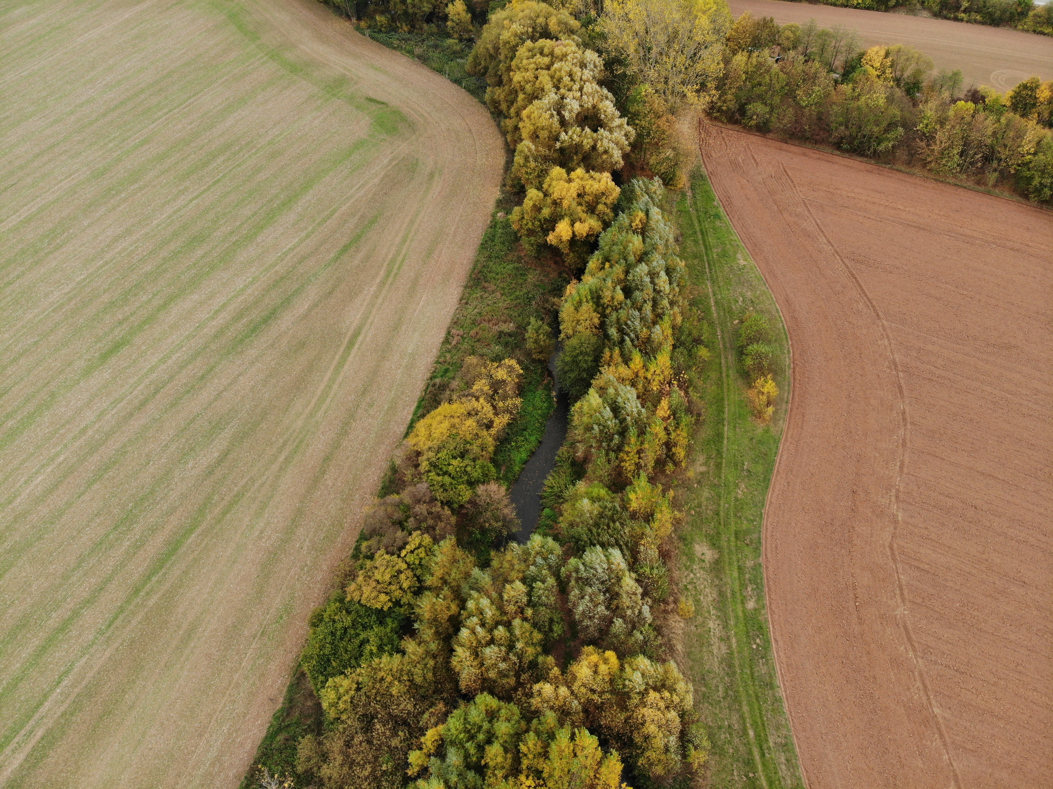 Luftbildaufnahme des wenige Meter breiten Randstreifens aus Bäumen und Sträuchern, die den Fluss Helme von landwirtschaftlichen Flächen abgrenzt.