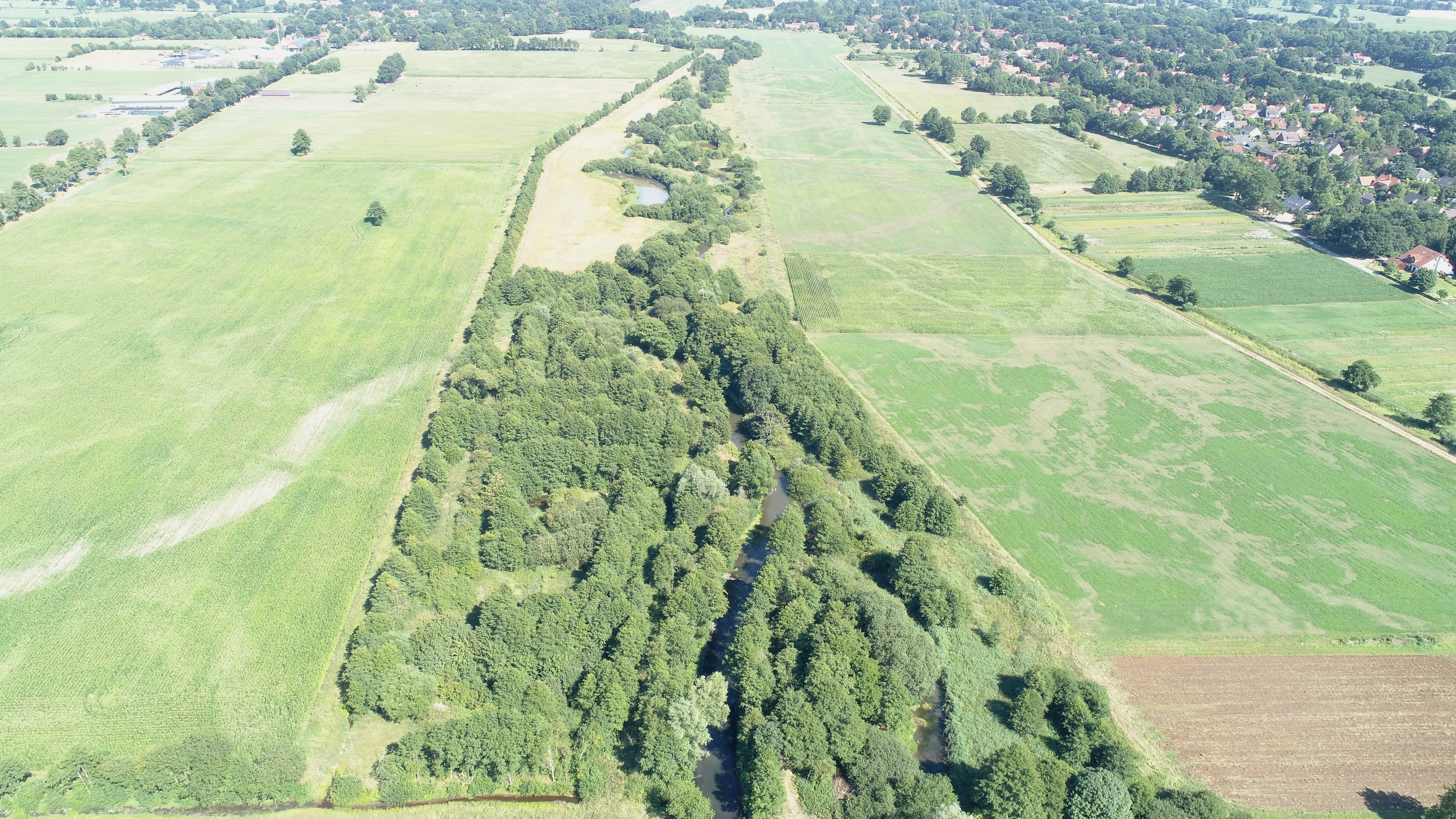 Luftbildaufnahme des sehr breiten Entwicklungskorridors mit Bäumen und Sträuchern, der den Fluss Wümme von landwirtschaftlichen Flächen und Grünland abgrenzt.
