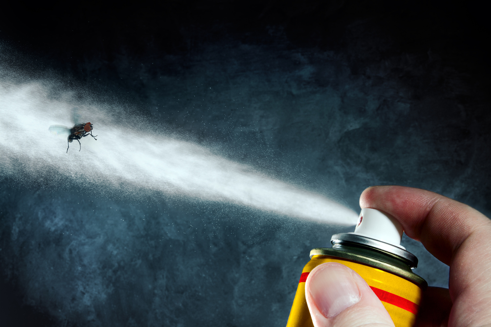 Eine Fliege wird mit Insektenspray angesprüht