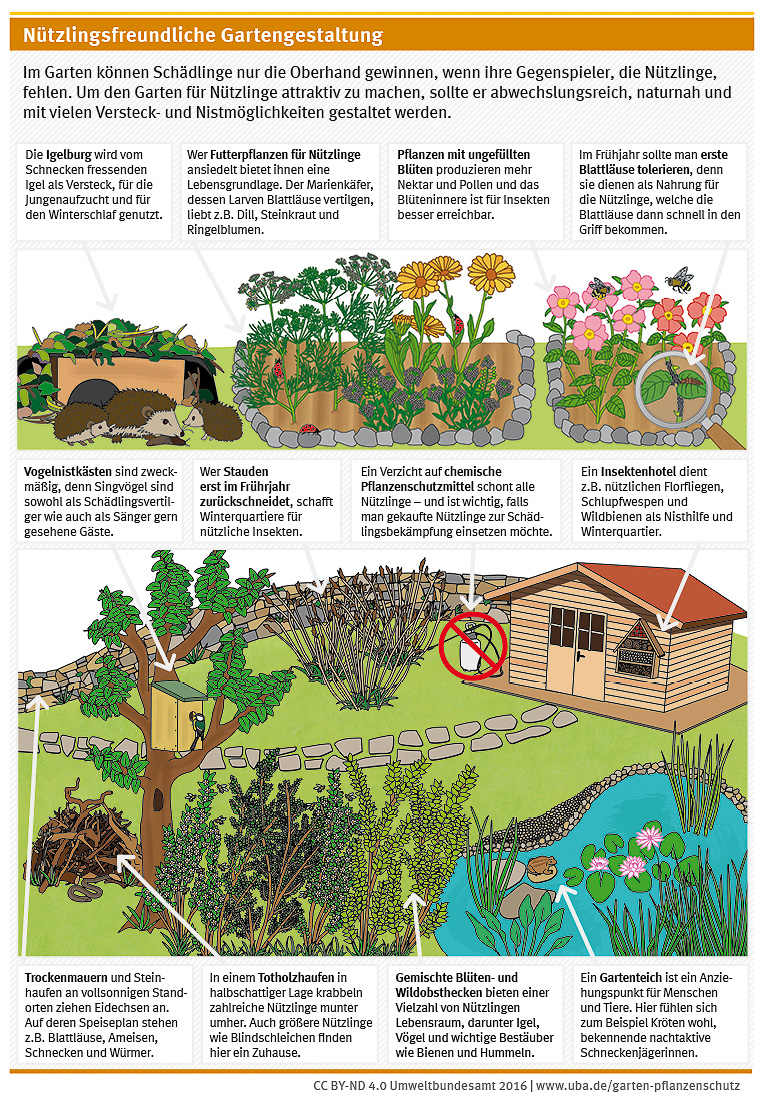 Im Garten können Schädlinge nur die Oberhand gewinnen, wenn Nützlinge fehlen. Um den Garten für Nützlinge attraktiv zu machen, solle er abwechslungsreich, naturnah und mit vielen Versteck- und Nistmöglichkeiten gestaltet werden.