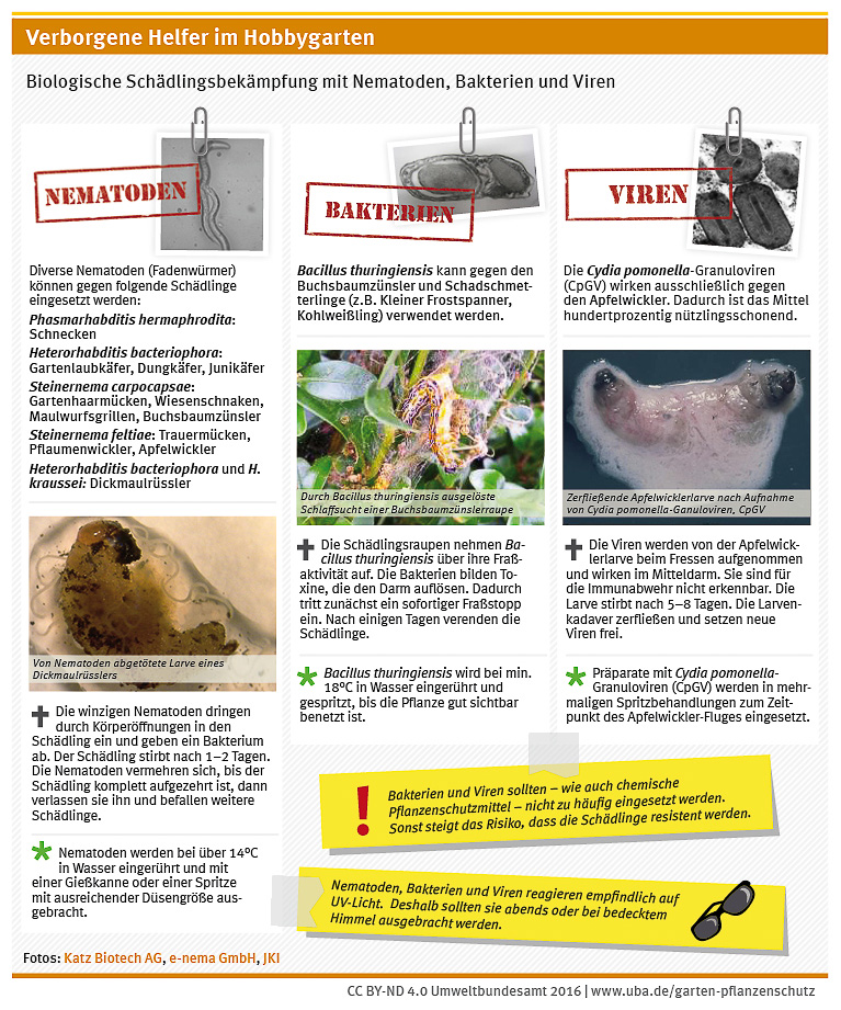 Biologische Schädlingsbekämpfung mit Nematoden, Bakterien und Viren