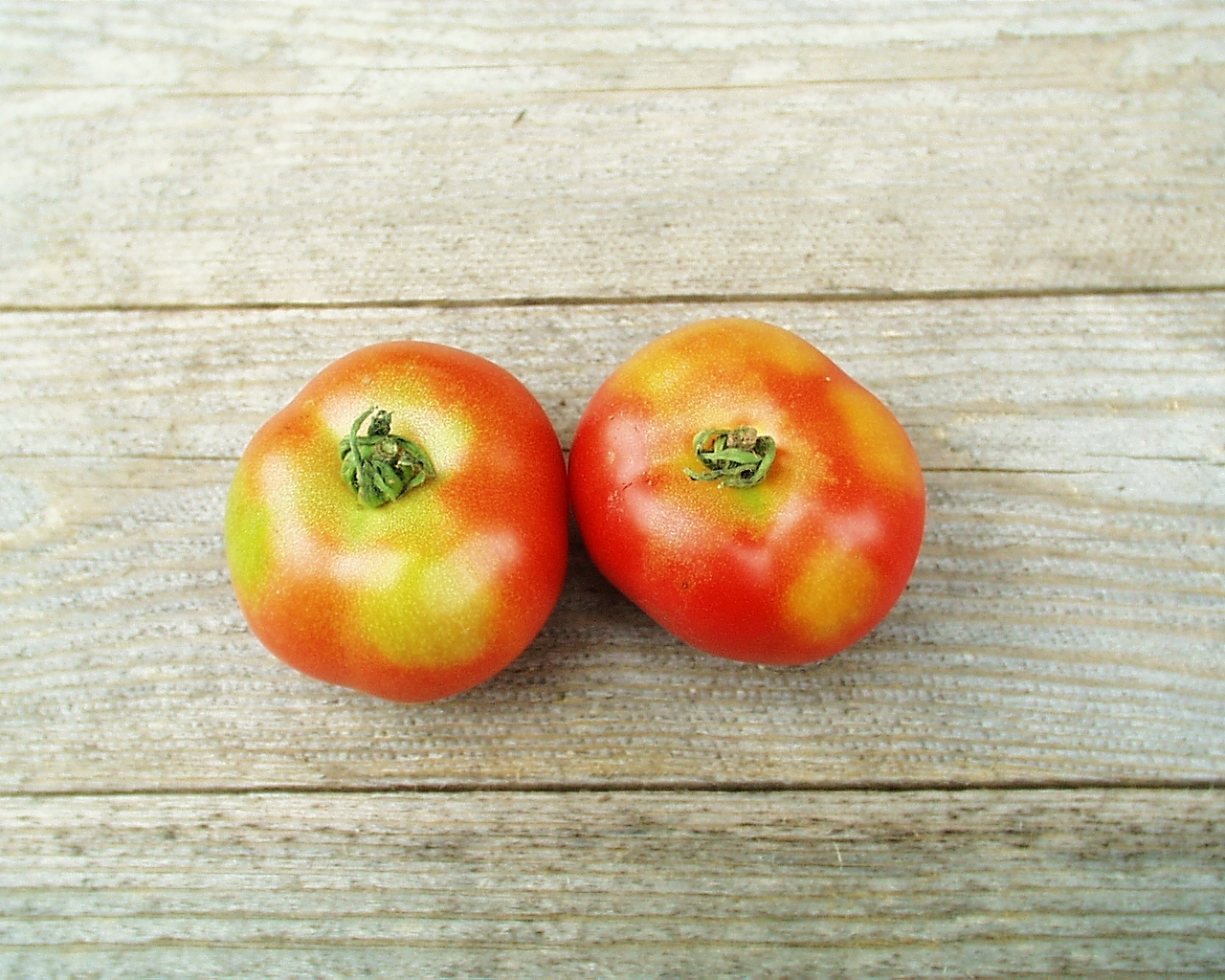 2 Tomaten mit Grünkragen auf hölzernem Untergrund