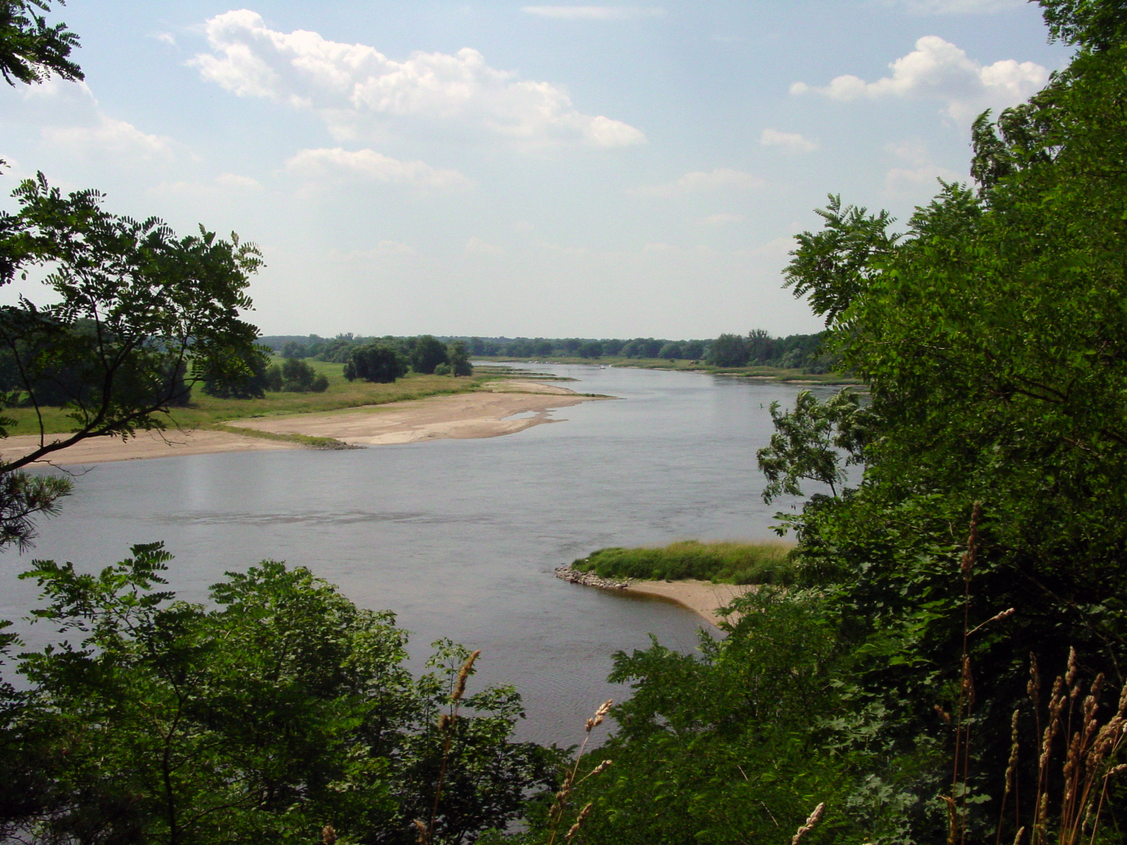 Hochufer bei Griebo (Elbe)