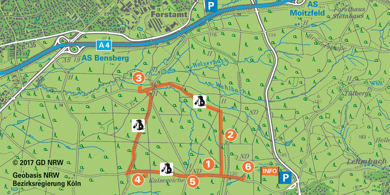 Bodenlehrpfad Königsforst | Umweltbundesamt