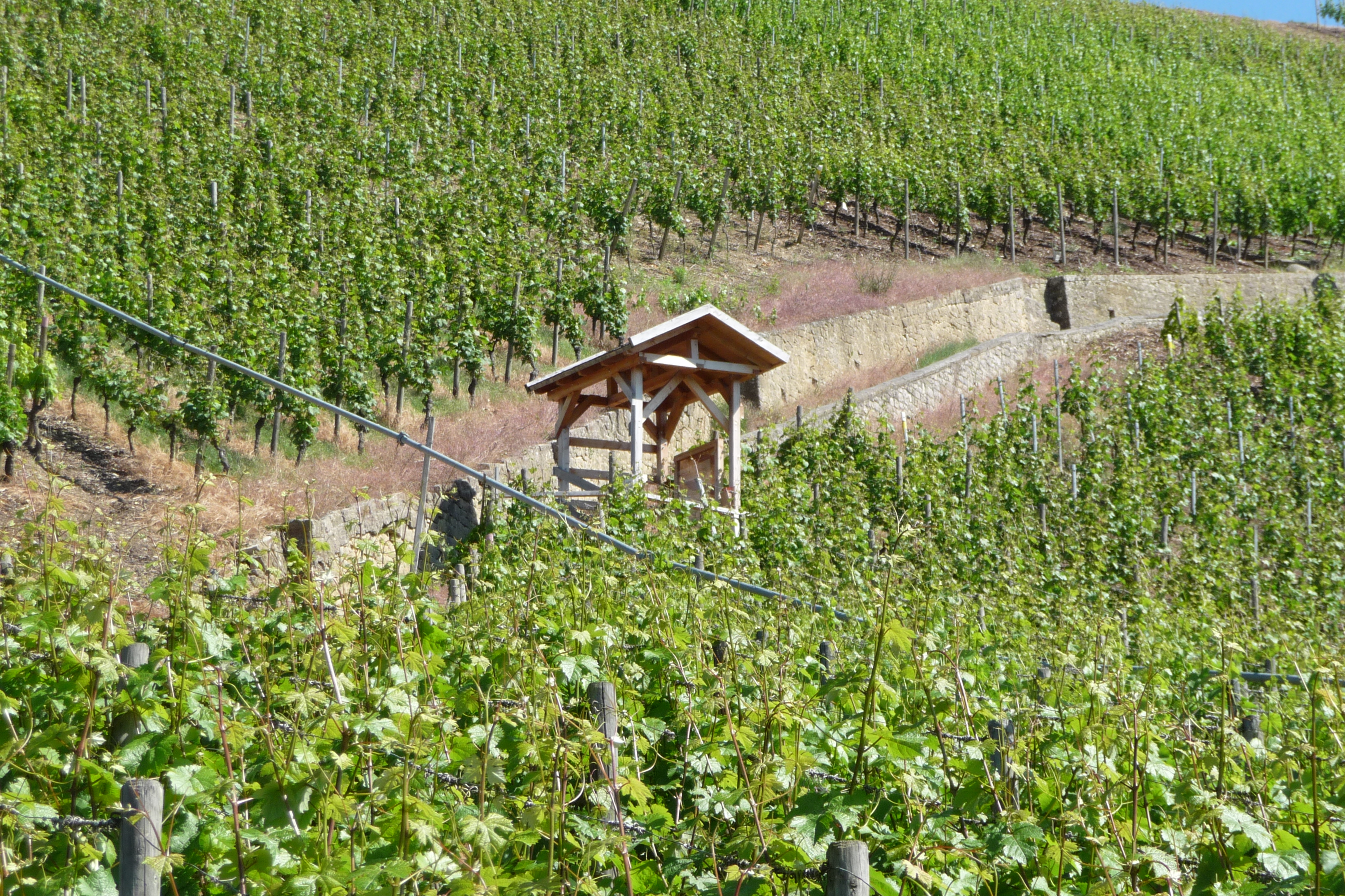 Die überdachte Bodenstation an der Station Vogelsburg