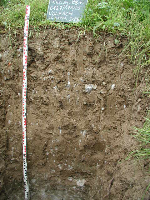 Das Bodenprofil am Standort Vogelsburg, Typ Muschelkalk (vorwiegend Kalkstein z.T. dolomitisch)steinkeuper (vorwiegend Sandstein)