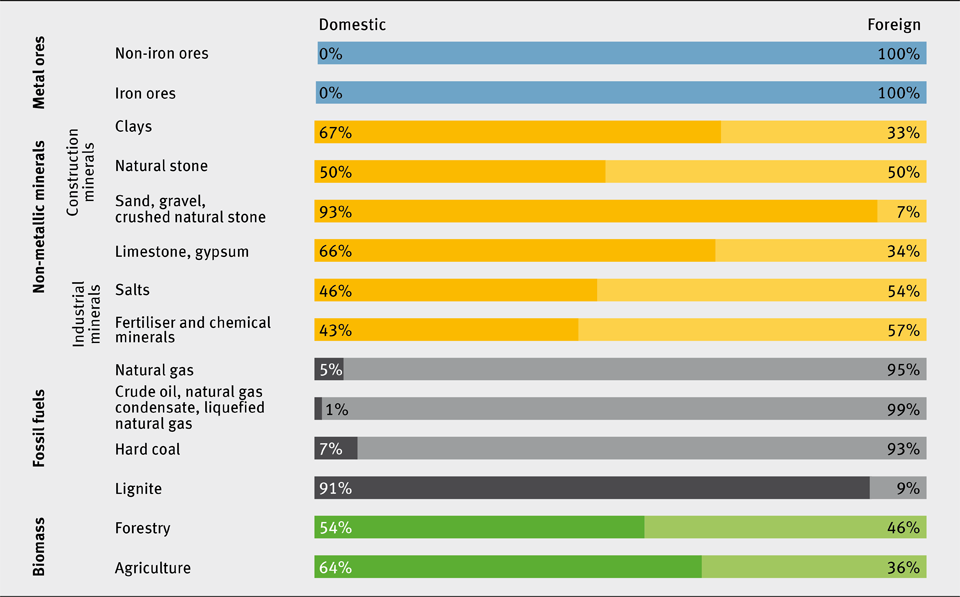 Domestic and foreign share of raw material inputs (RMI) for Germany