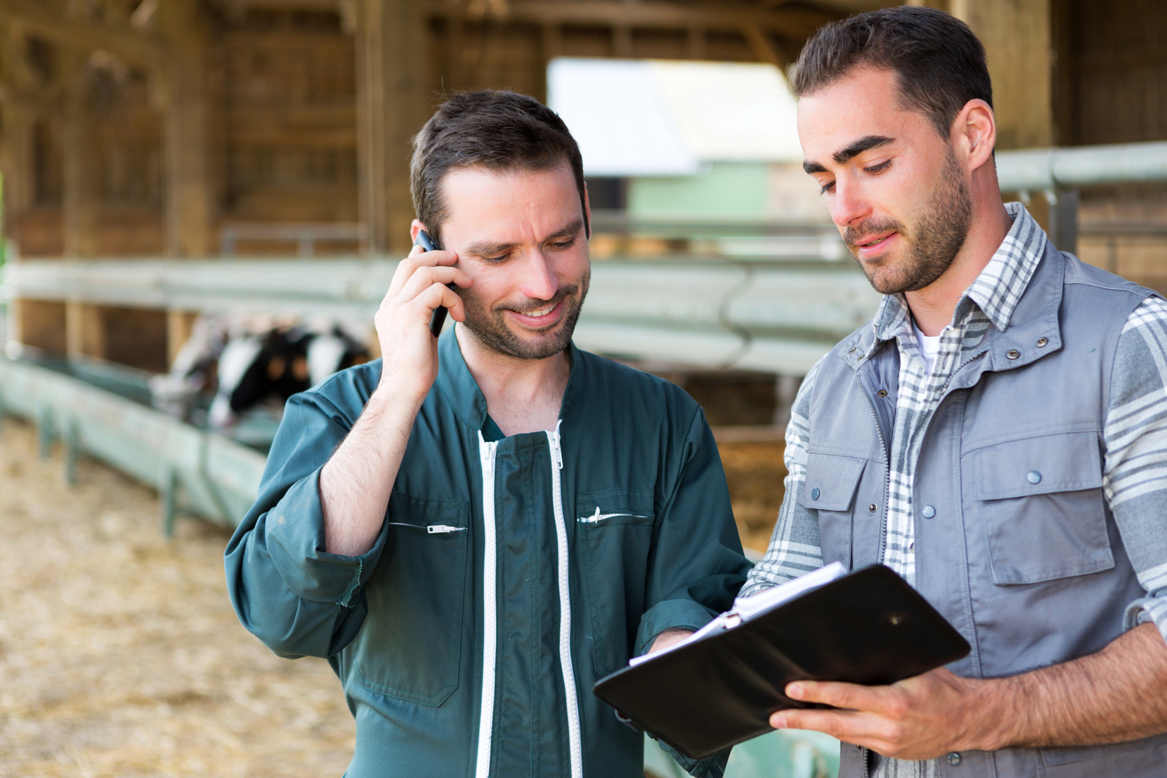 Landwirt und Tierarzt im Gespräch im Rinderstall, gucken gemeinsam in ein Notizbuch