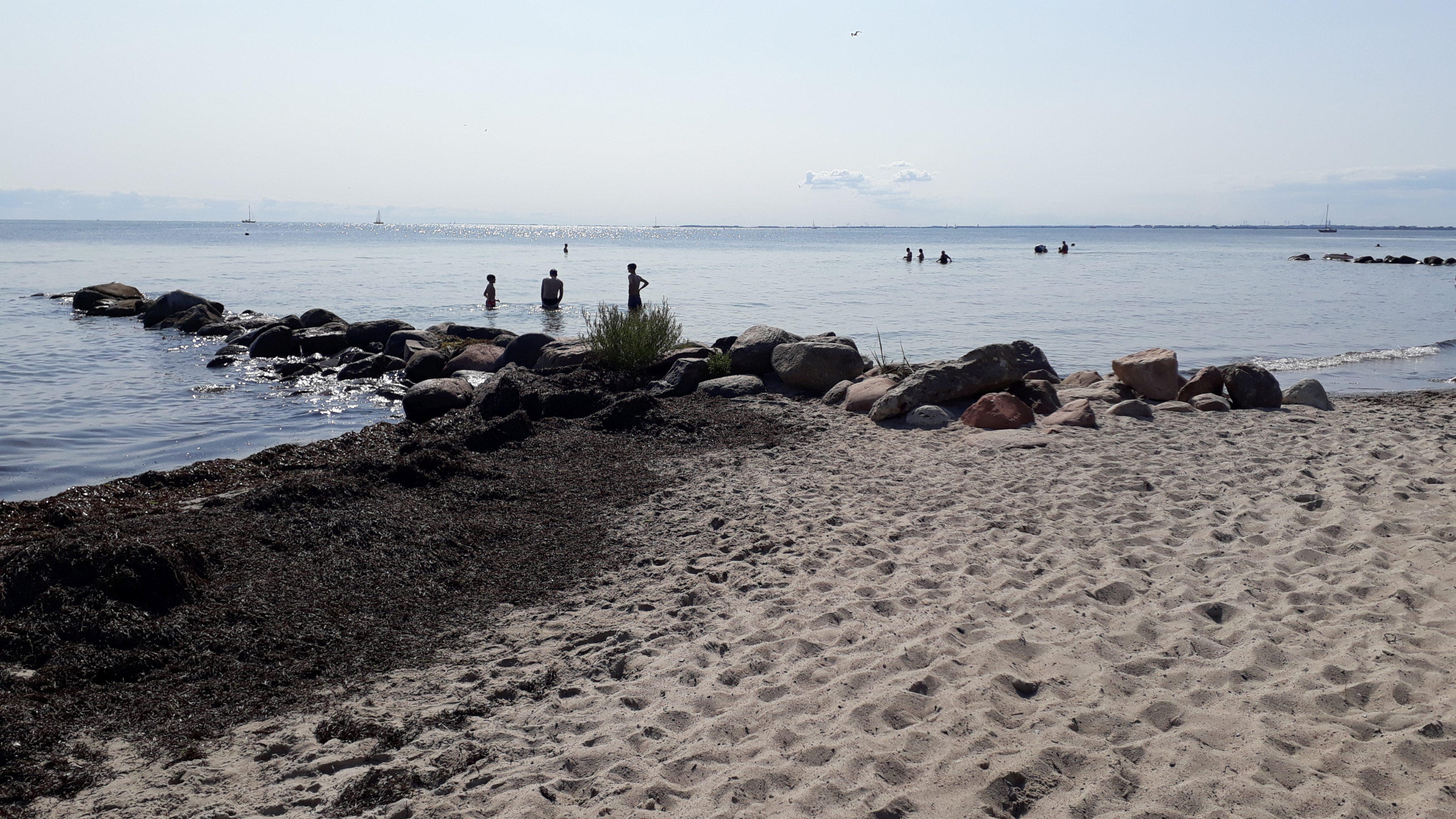 Sandstrand mit Badenden, im Vordergrund Treibsel.