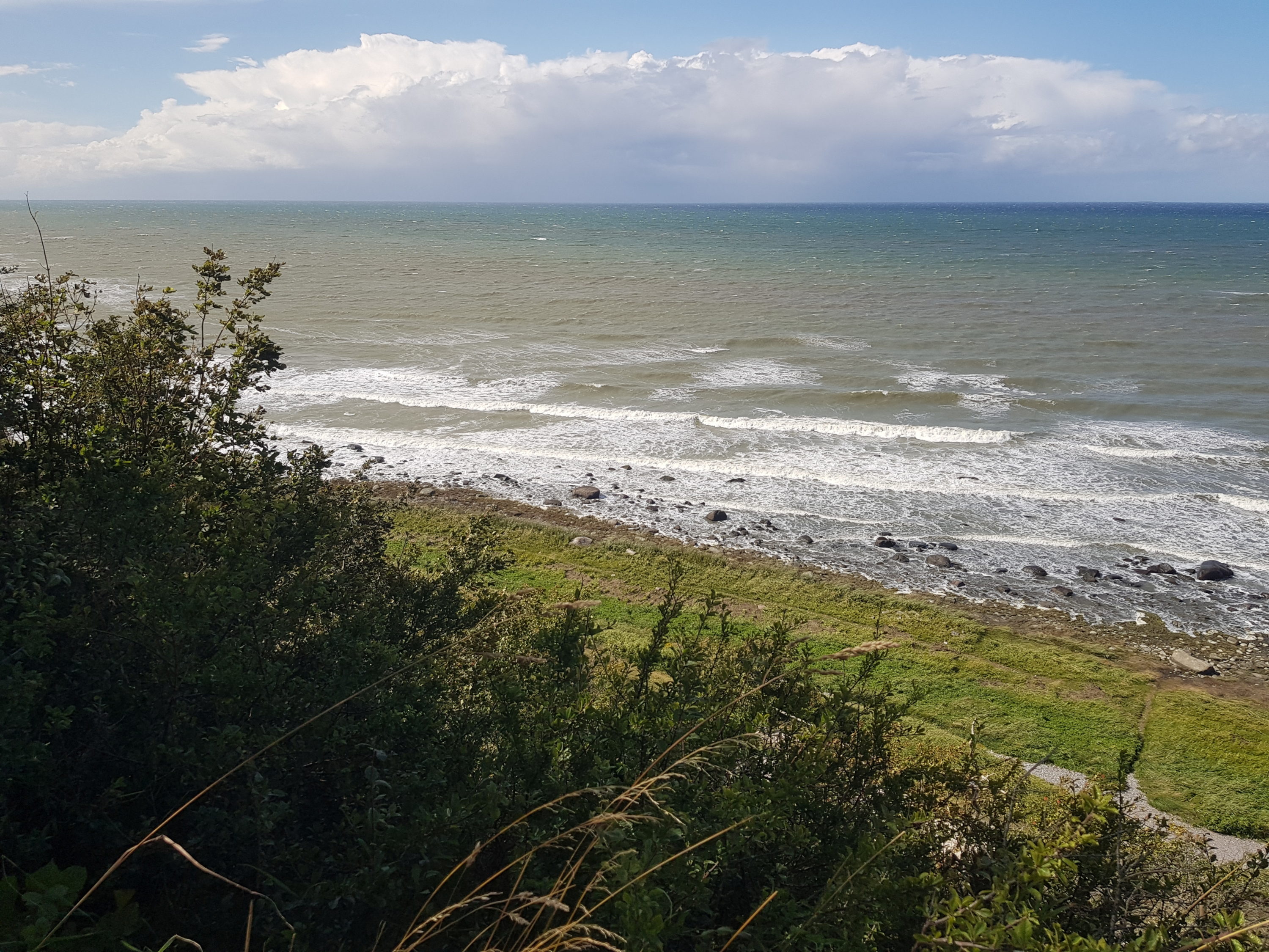 Blick auf See, mit Gräsern bewachsener Strand.