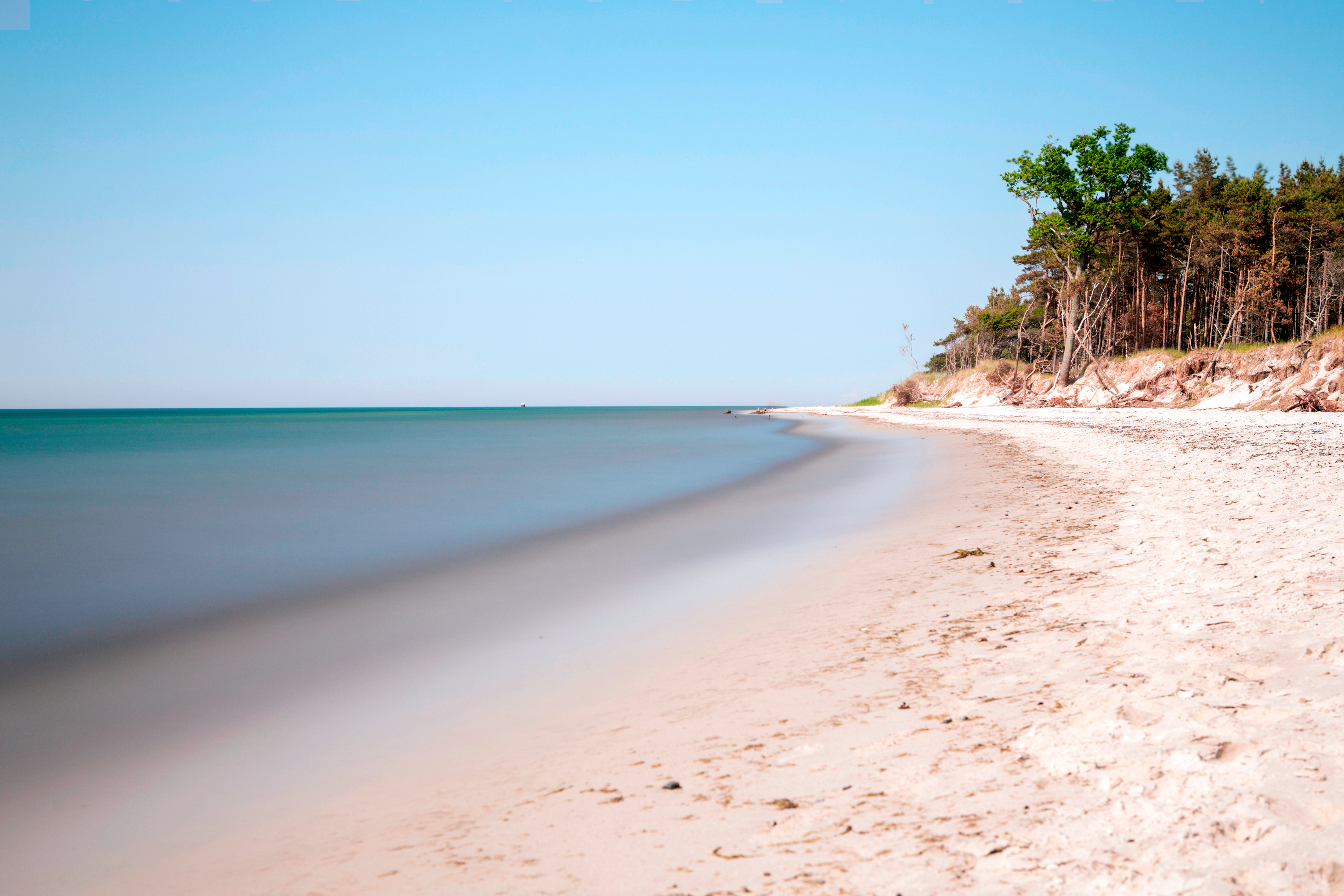 Menschenleerer Sandstrand mit Bäumen im Hintergrund.