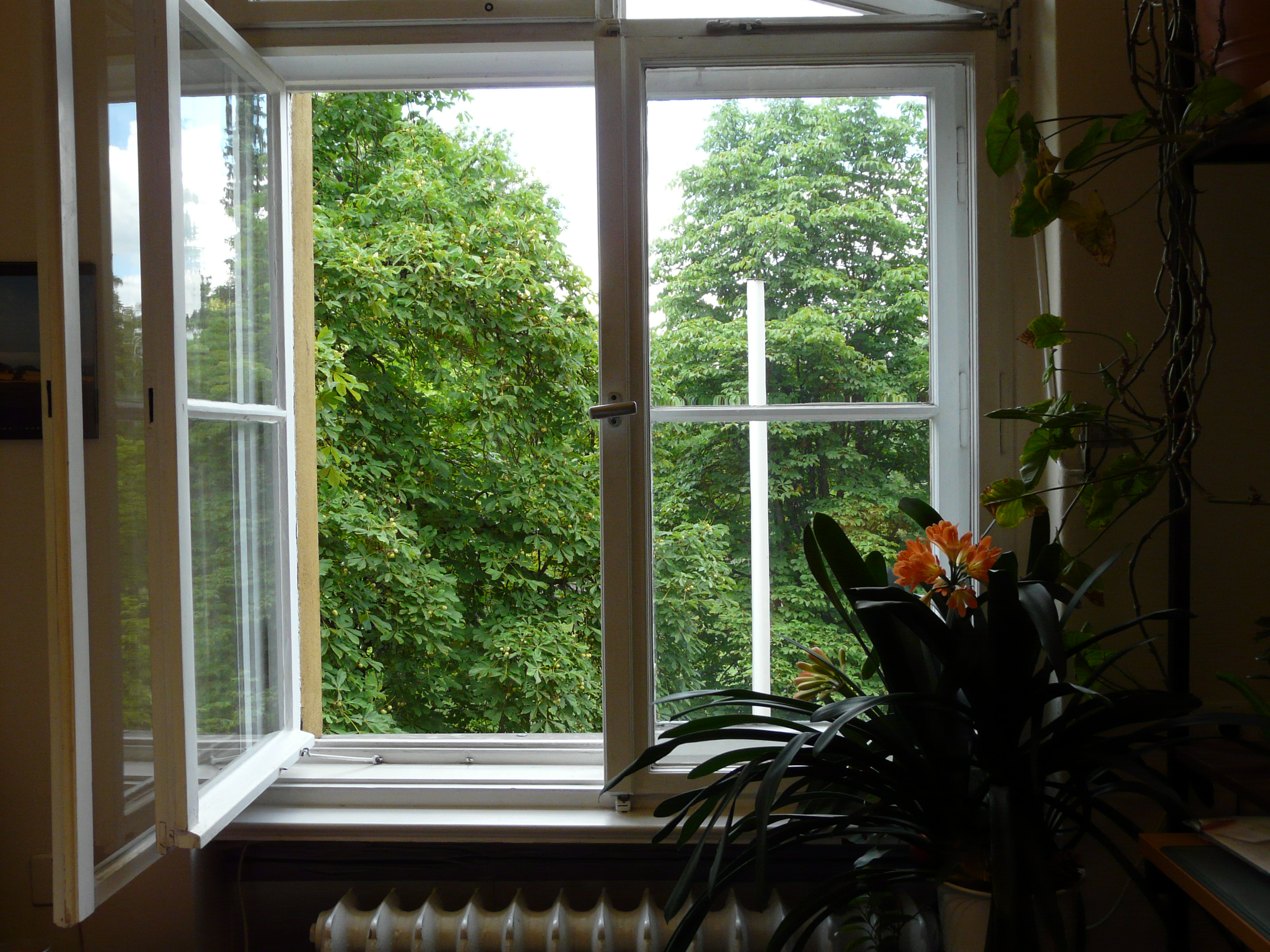 geöffnetes Fenster im Altbau