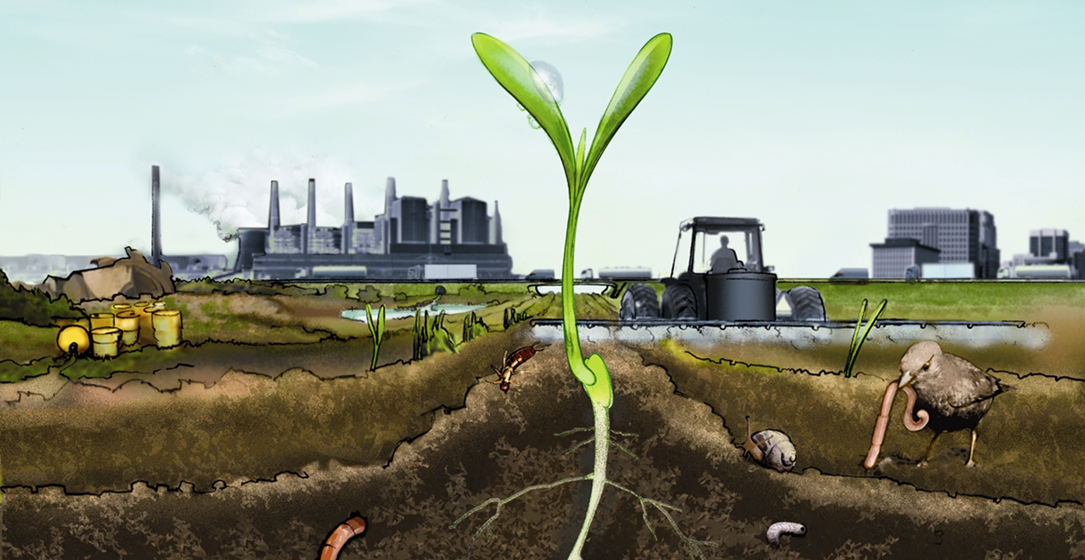 Effects Of Soil Pollution On Agriculture