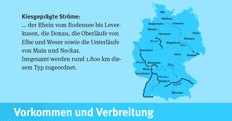 Karte die das Vorkommen in Deutschland von kiesgerägten Ströme aufzeigt.