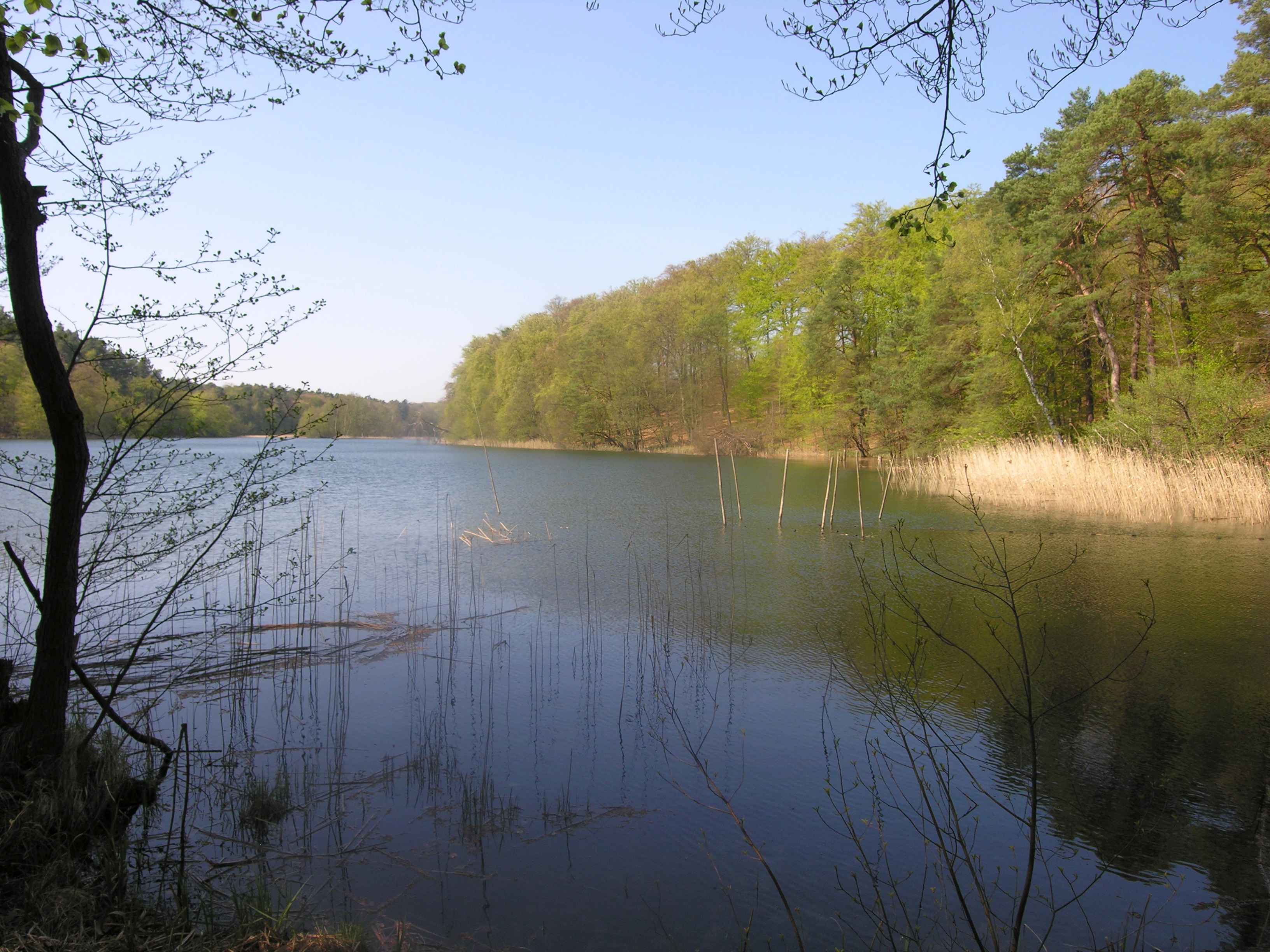 Blick auf den Nehmitzsee in Brandenburg
