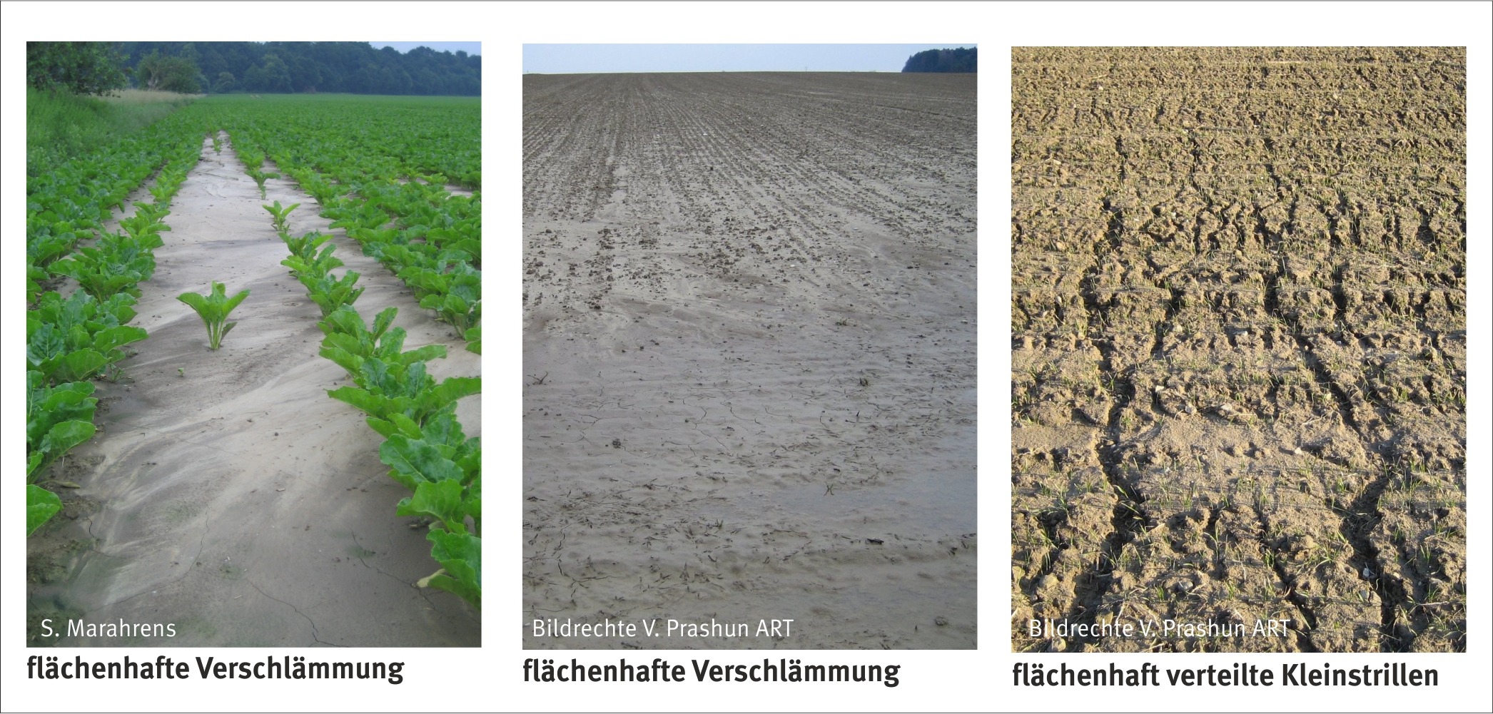 Soil erosion caused by agriculture