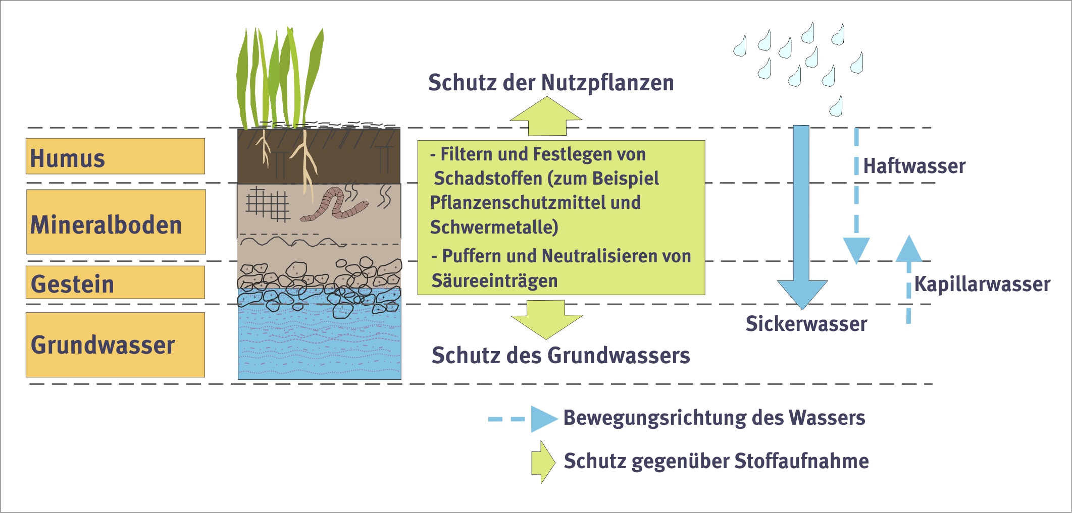 Soil as filter.