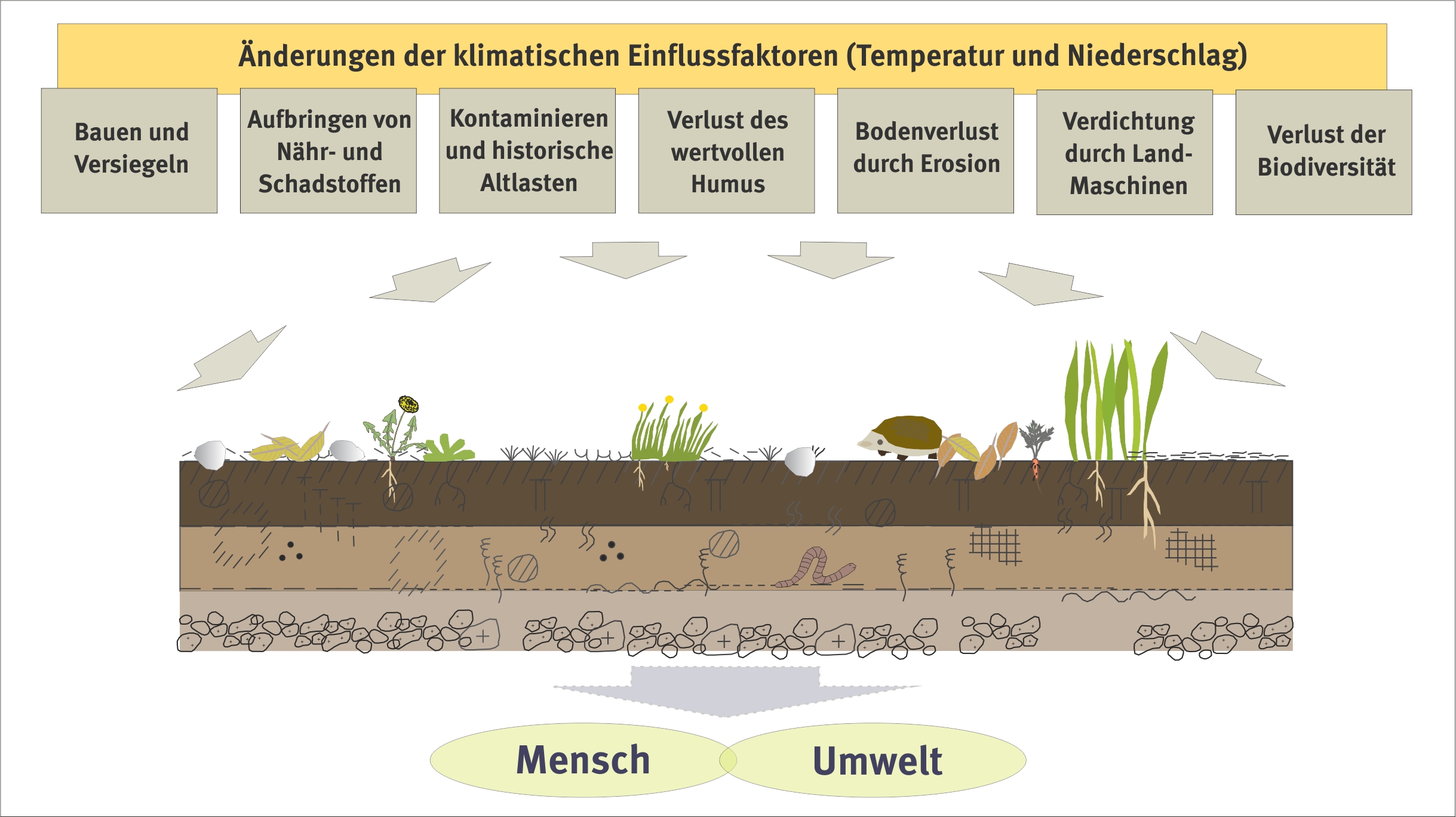 Schaubild zeigt die Belastungen des Bodens.