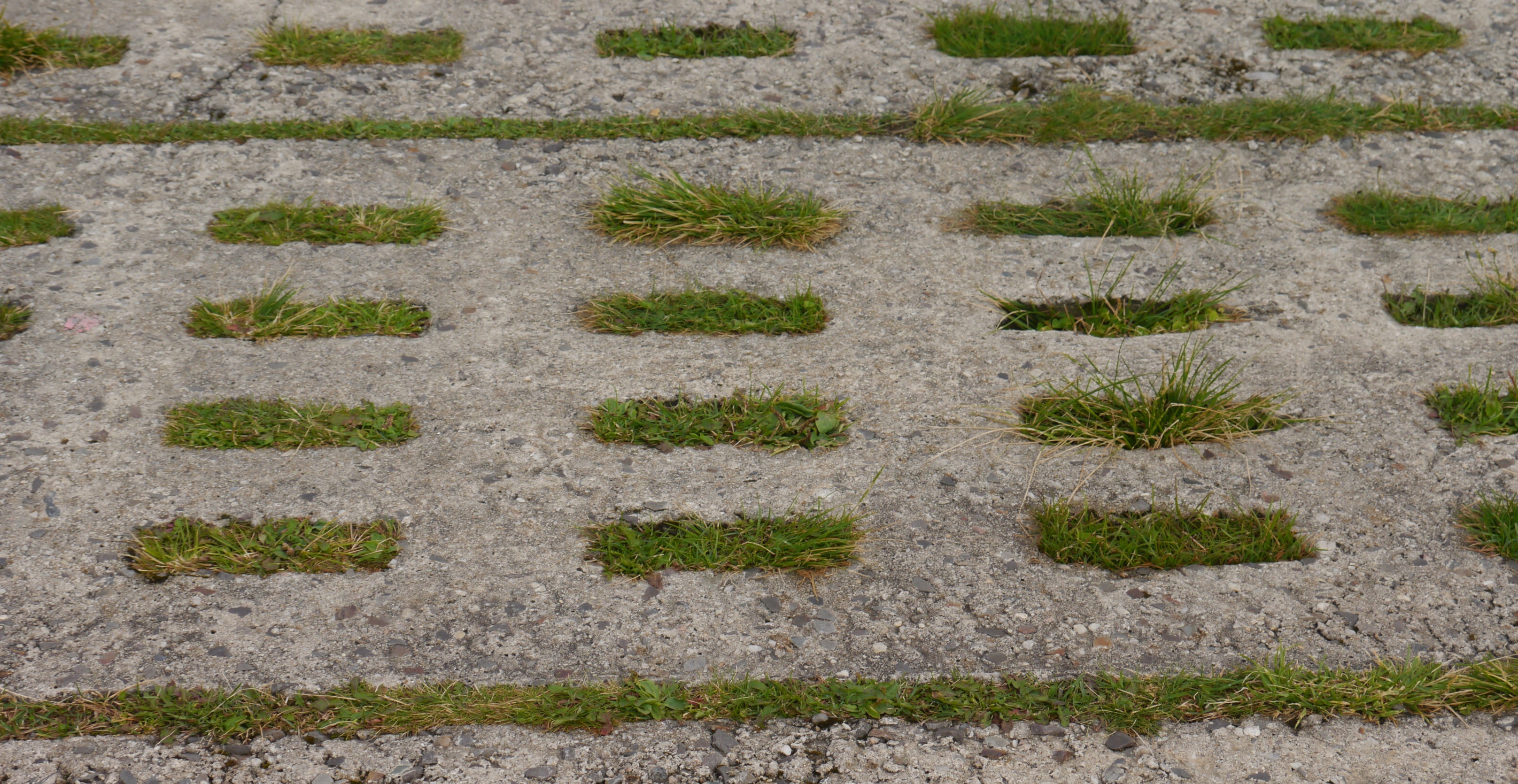 Foto von Betonplatten mit Grasdurchwuchs.