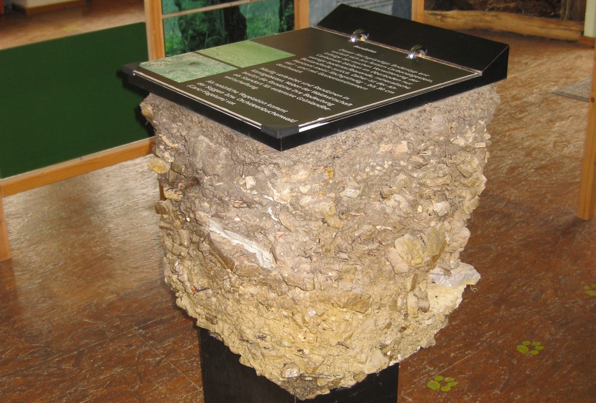 Photo of a soil monolith