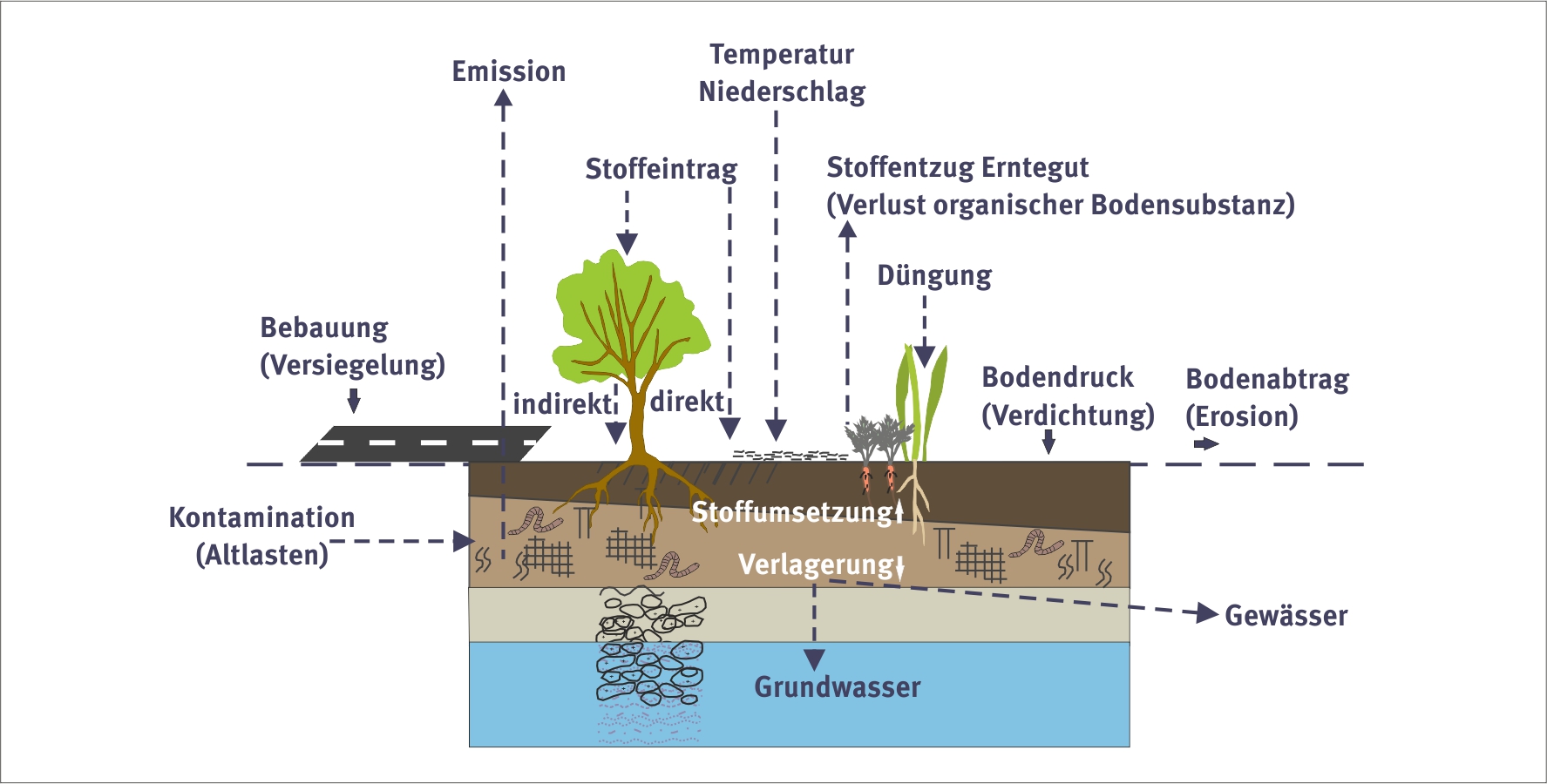 Schaubild zu den Prozessen der Bodenbelastung