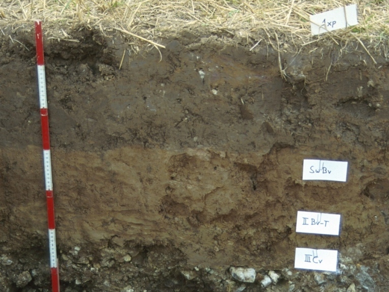 A soil profile with differently coloured layers of brown earth.