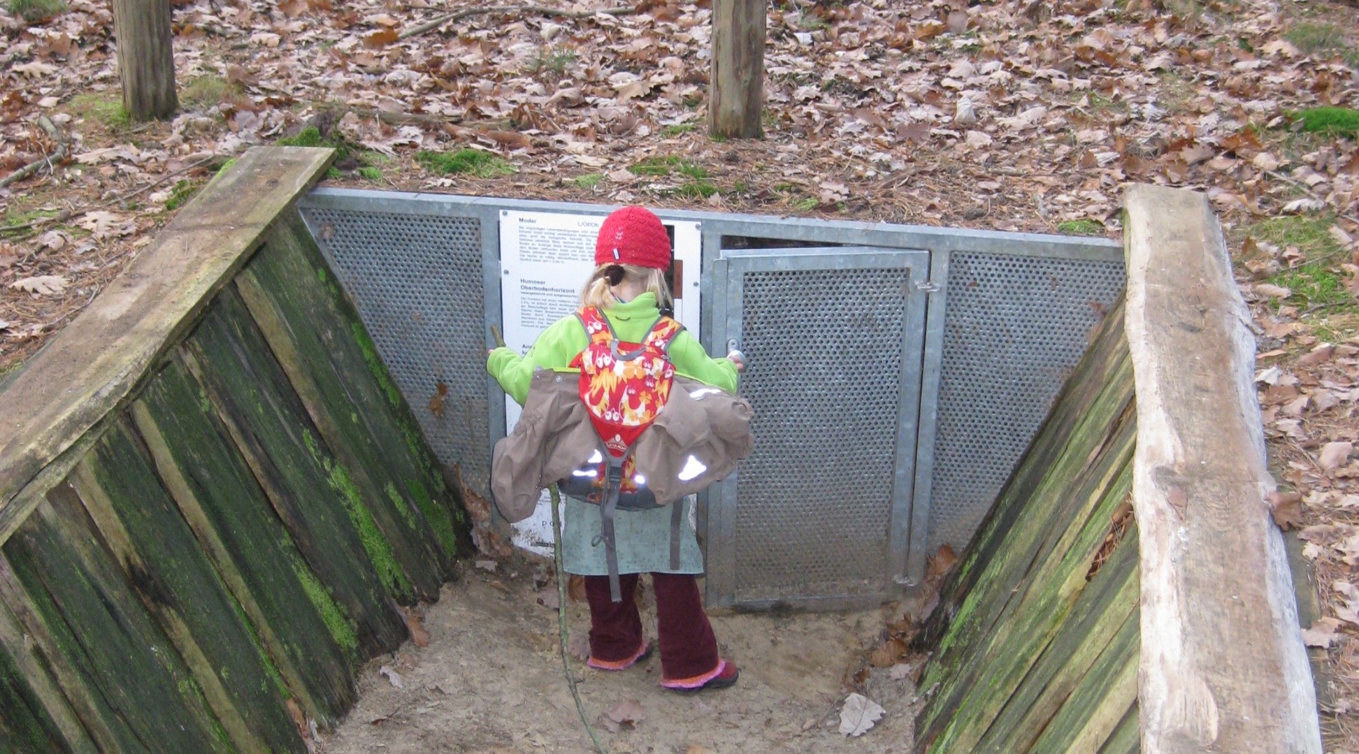 Child in front of a soil profile.