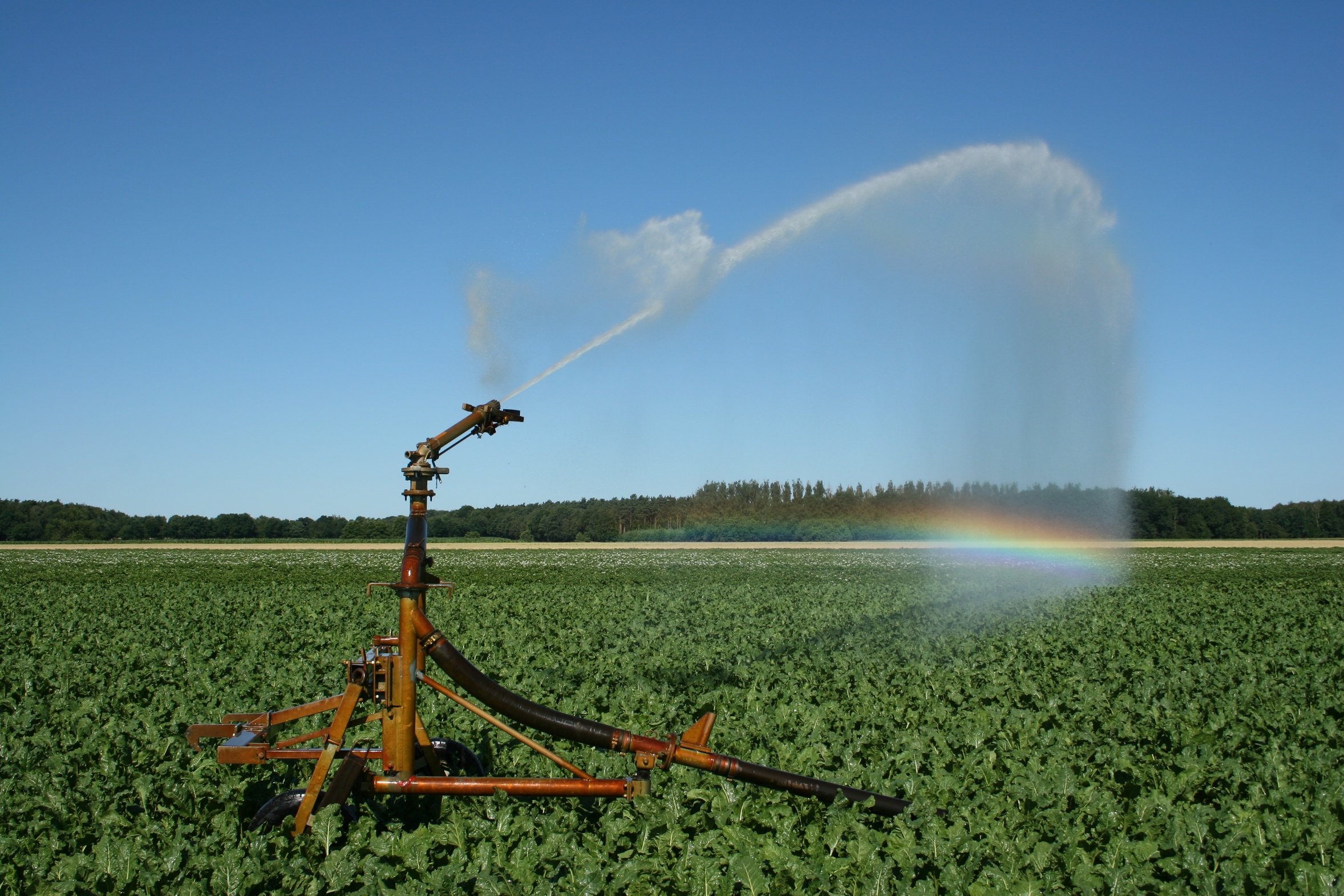 irrigation of a field