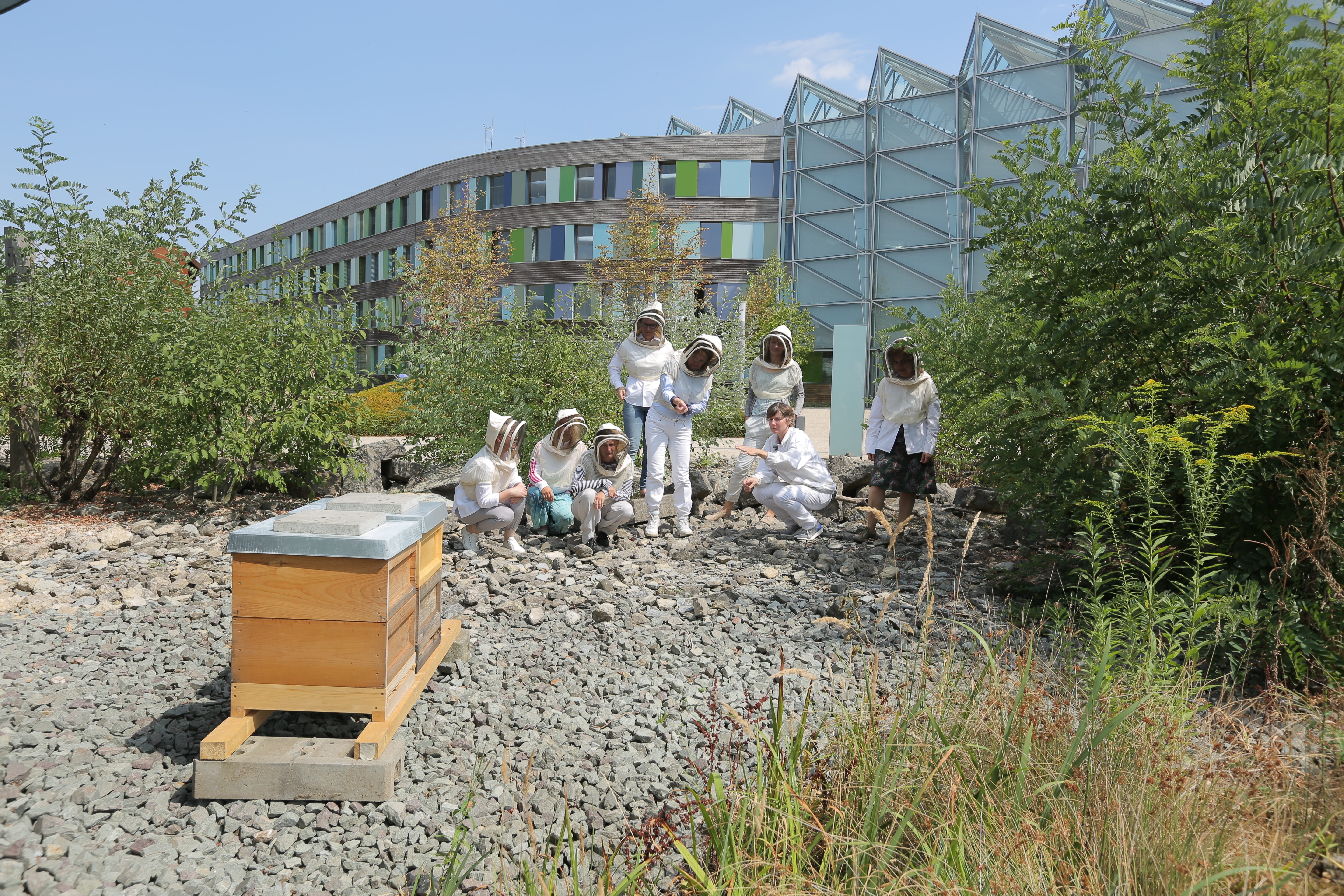 Personen in Imkeranzügen vor Bienenstöcken