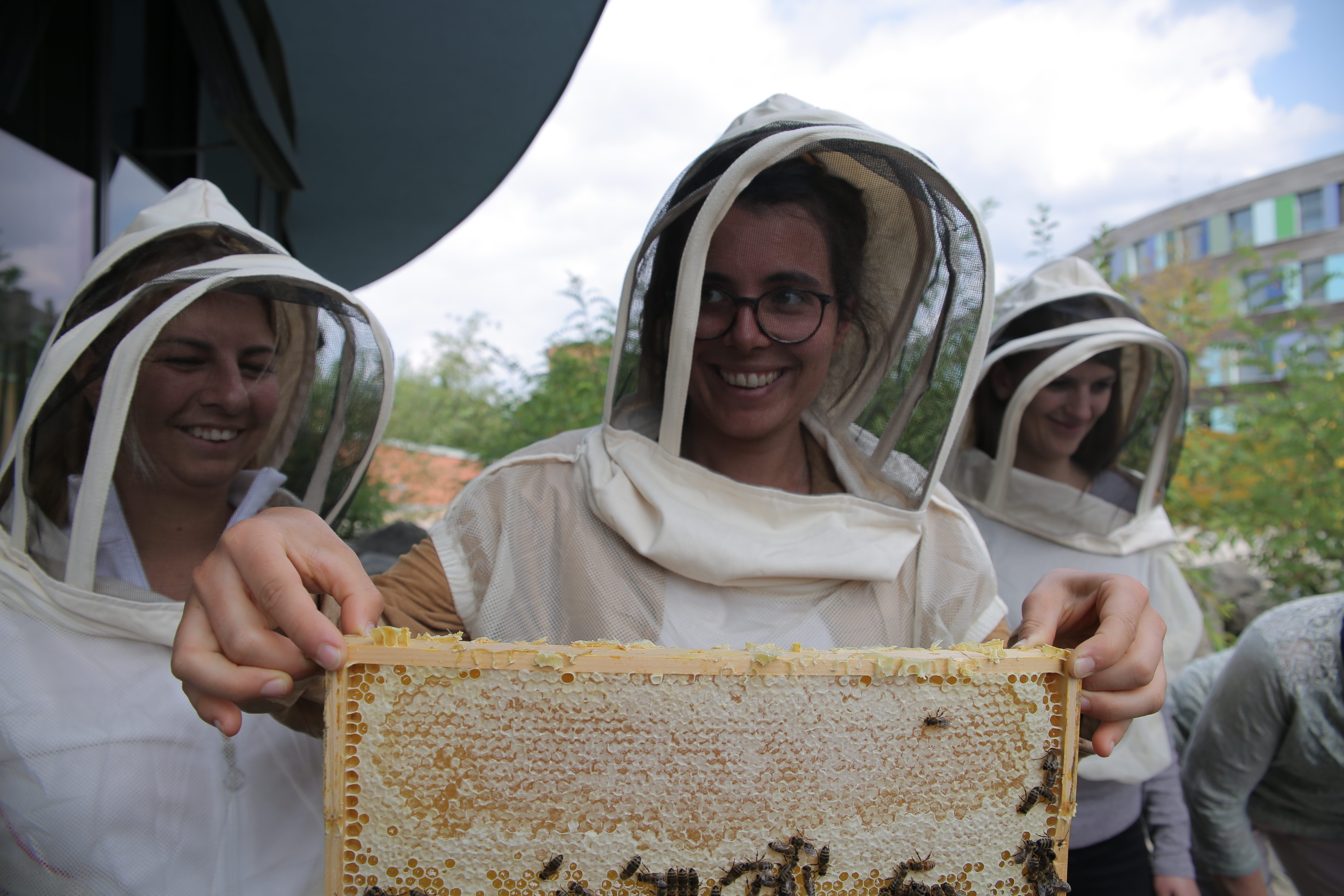 eine junge Frau in Imkerschutzkleidung hält einen Holtzahmen mit Bienenwaben, die mit Bienen besetzt sind.