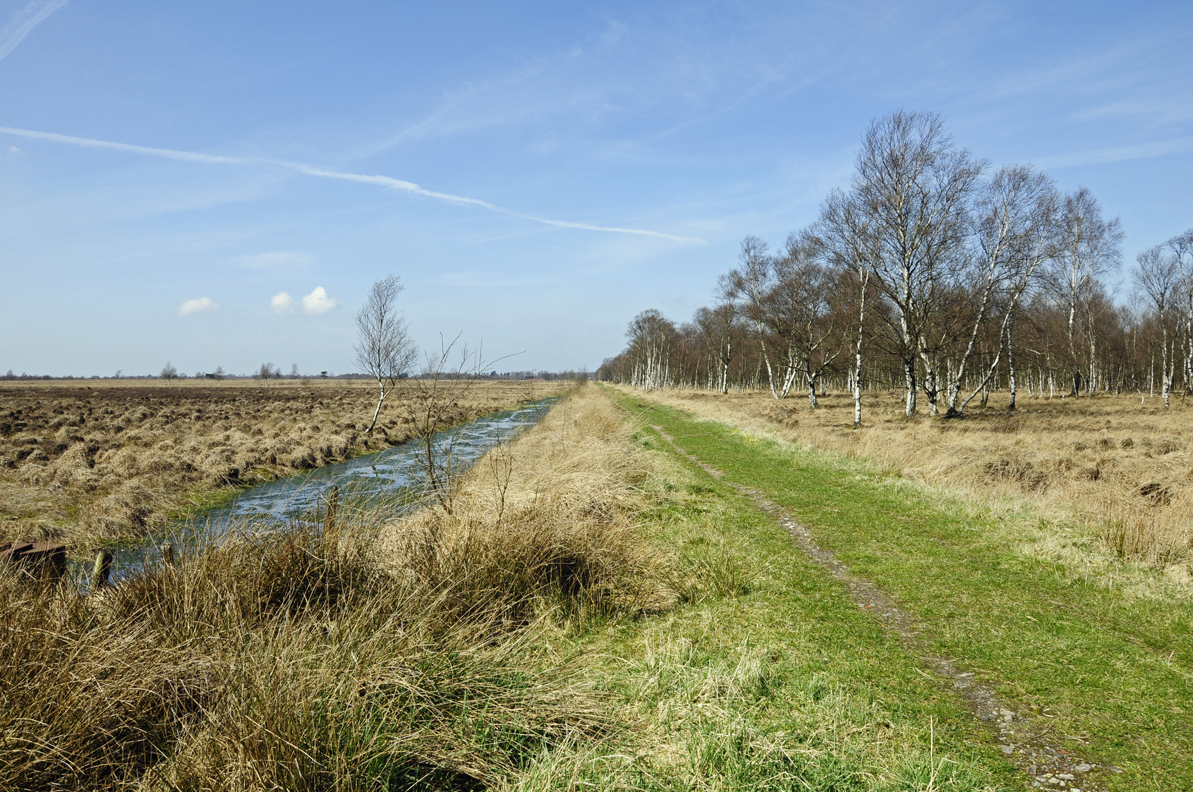 drainage channel through a peatland