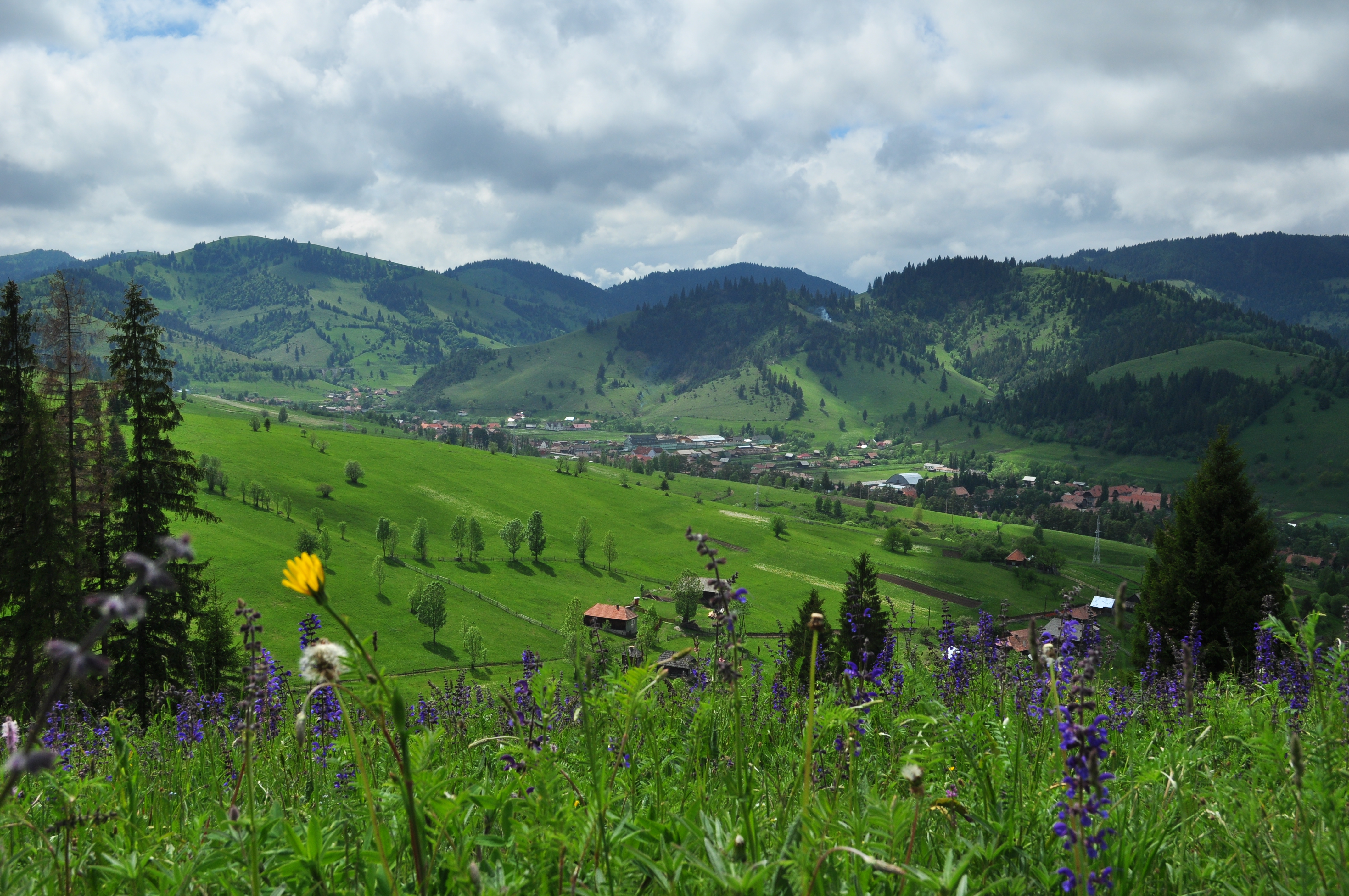 Berglandschaft mit blühenden Wiesen, im Tal ein Dorf