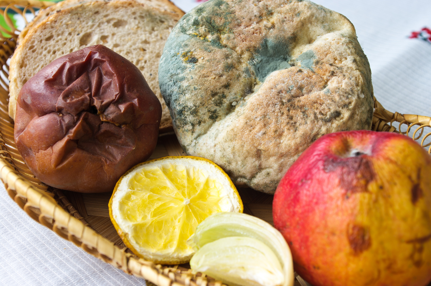 a basket with a mouldet bread roll, two rotten apples and a dried out lemon