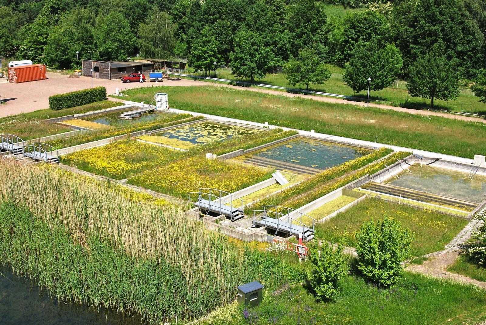Außenanlage mit wassergefüllten und bepflanzten quadratischen Betonbecken
