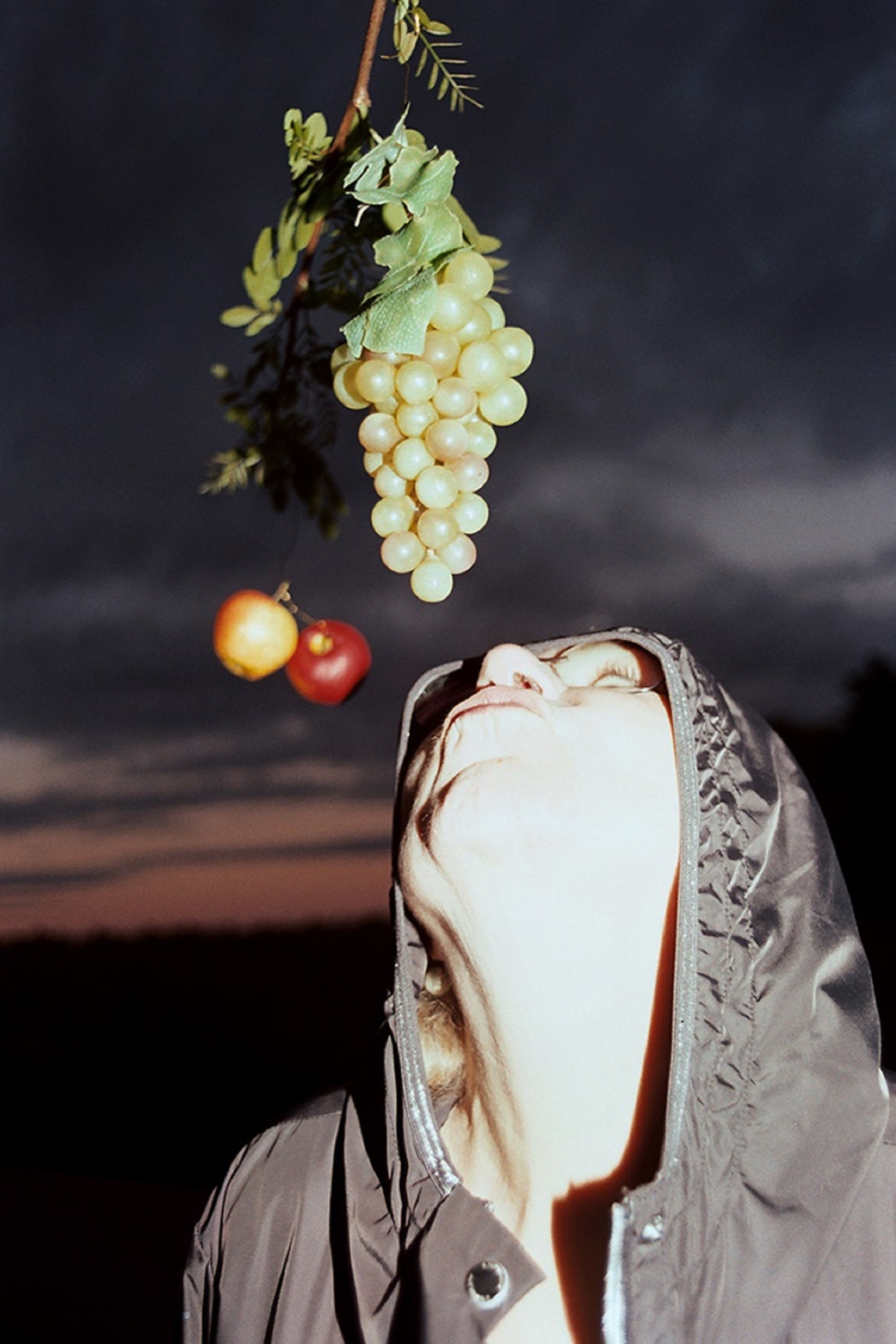 von oben hängen Weintrauben und Äpfel herab, darunter eine junge Frau mit Kapuzenjacke, die versucht, mit dem Mund heranzukommen, im Hintergrund Dämmerung und dunkle Wolken